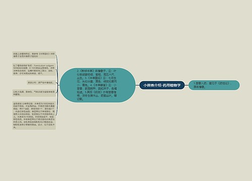 小茴香介绍-药用植物学思维导图