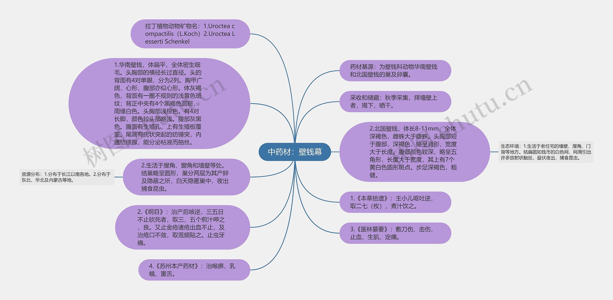 中药材：壁钱幕思维导图