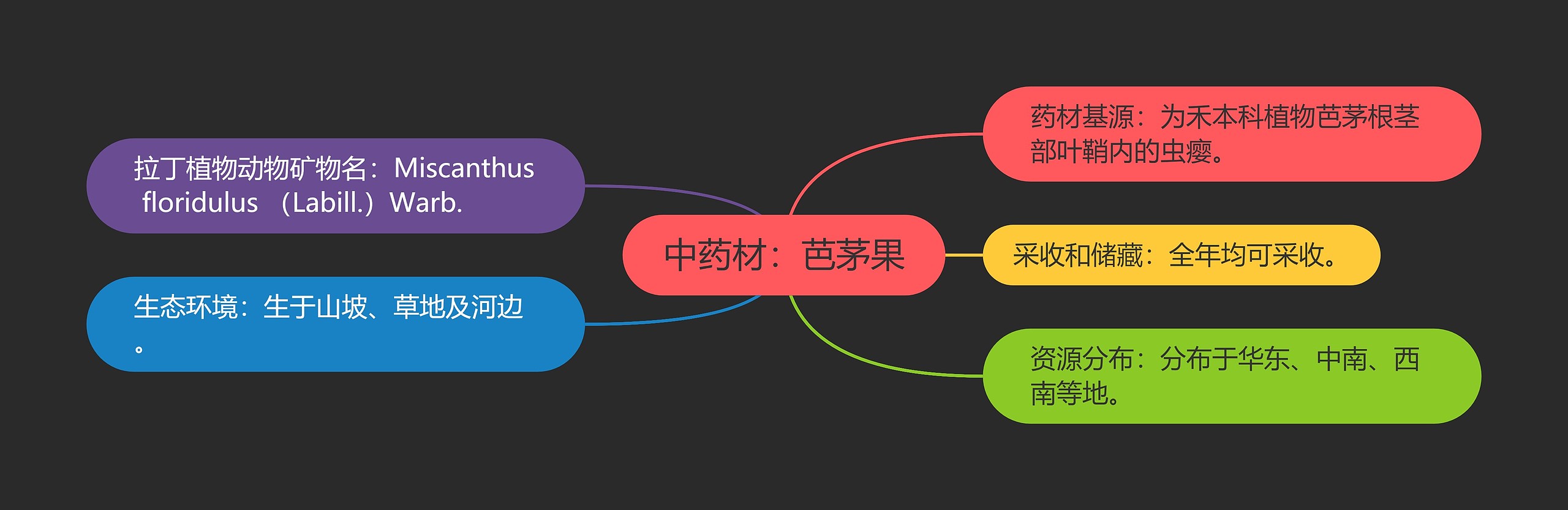 中药材:芭茅果 中药材:芭茅果