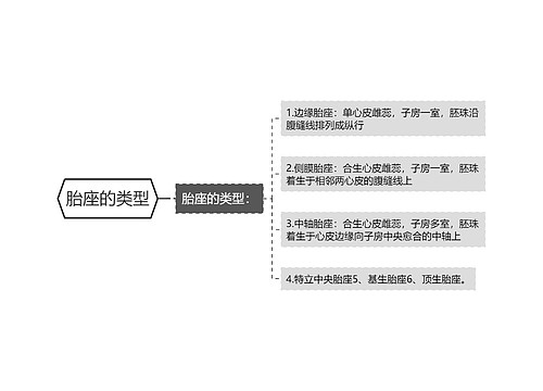 胎座的类型