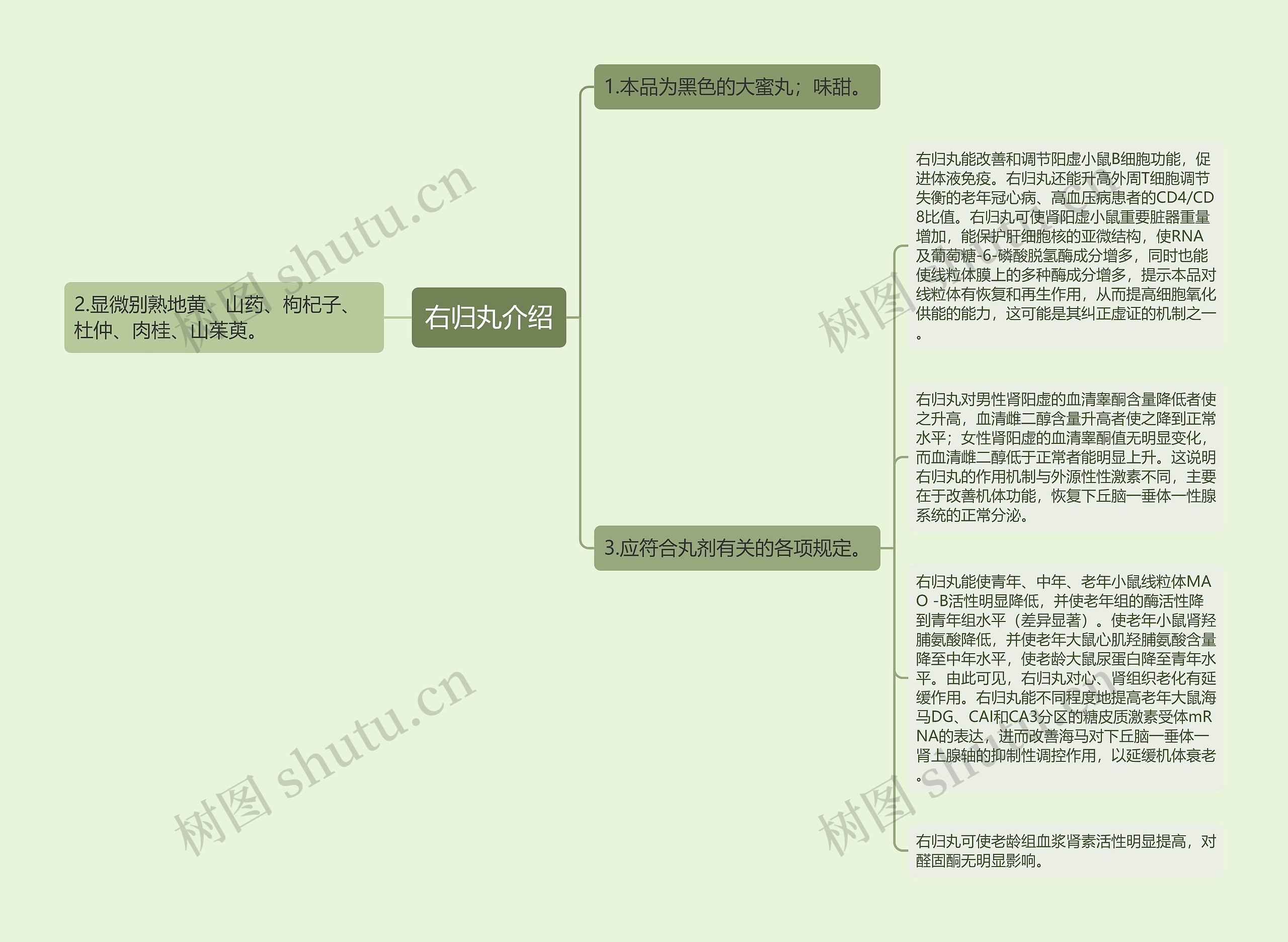 右归丸介绍思维导图