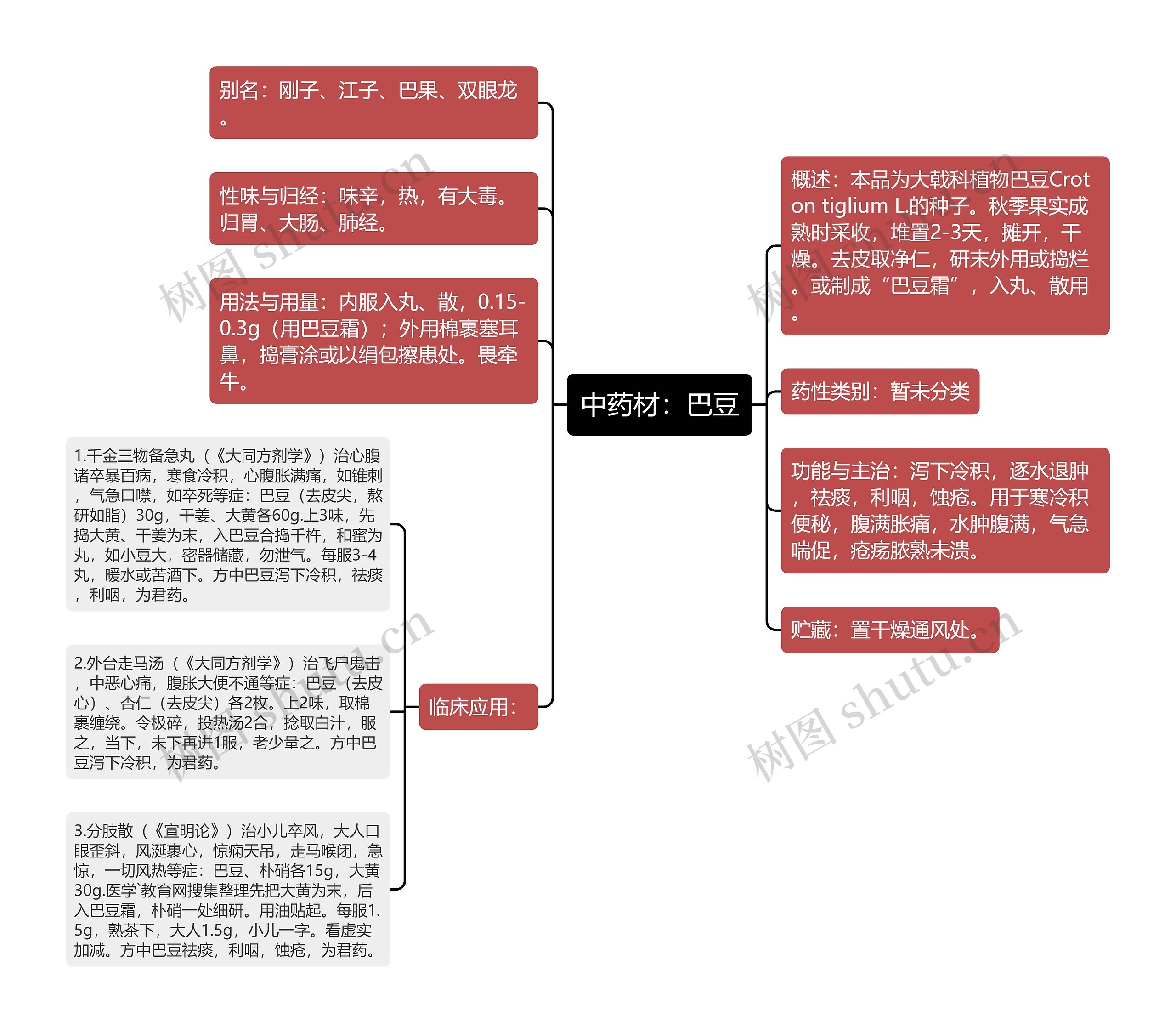 中药材：巴豆思维导图