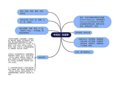 中药材：败酱草思维导图