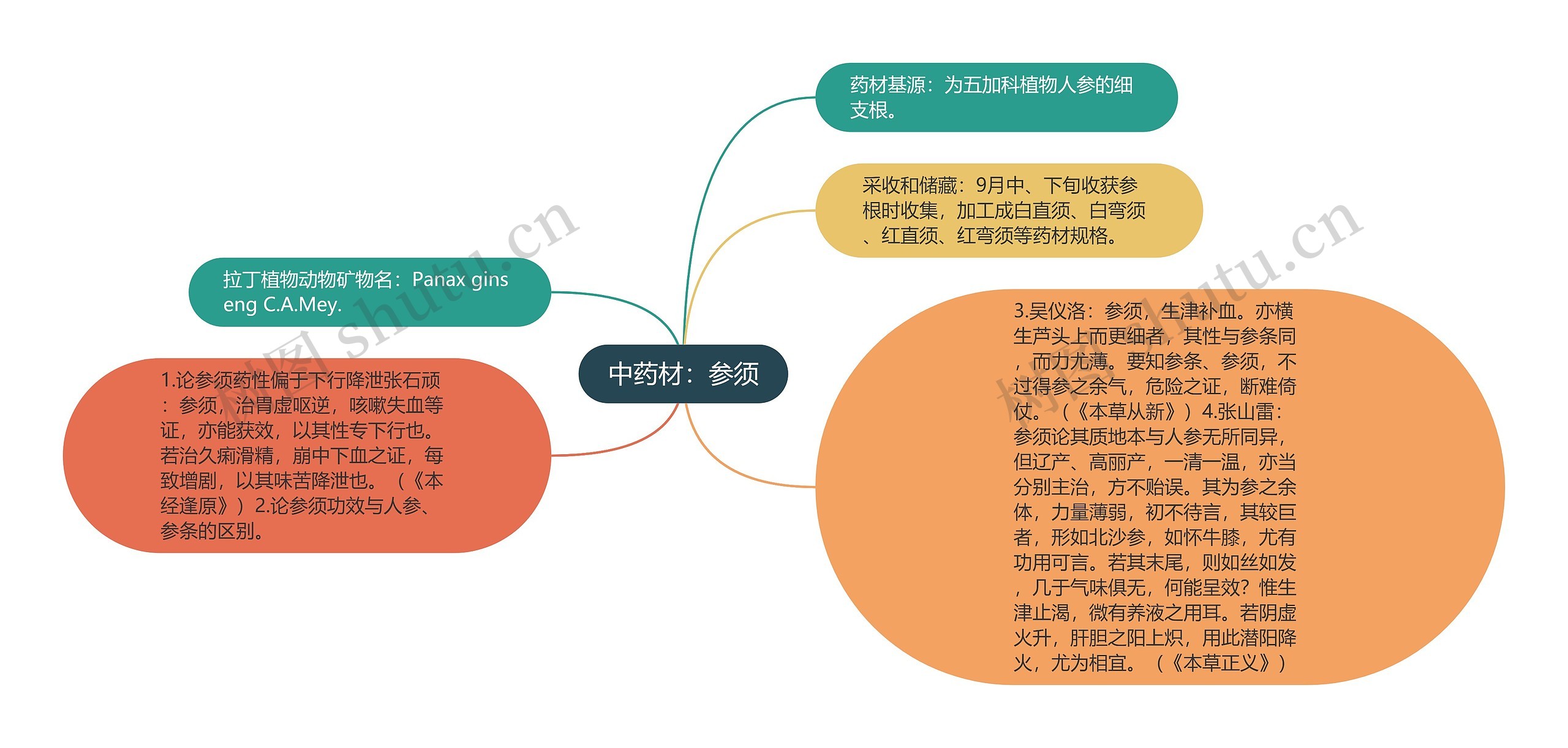 中药材：参须思维导图