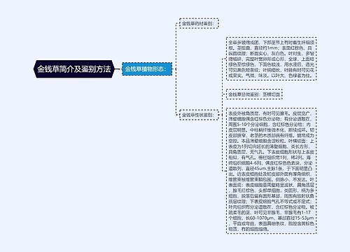 金钱草简介及鉴别方法