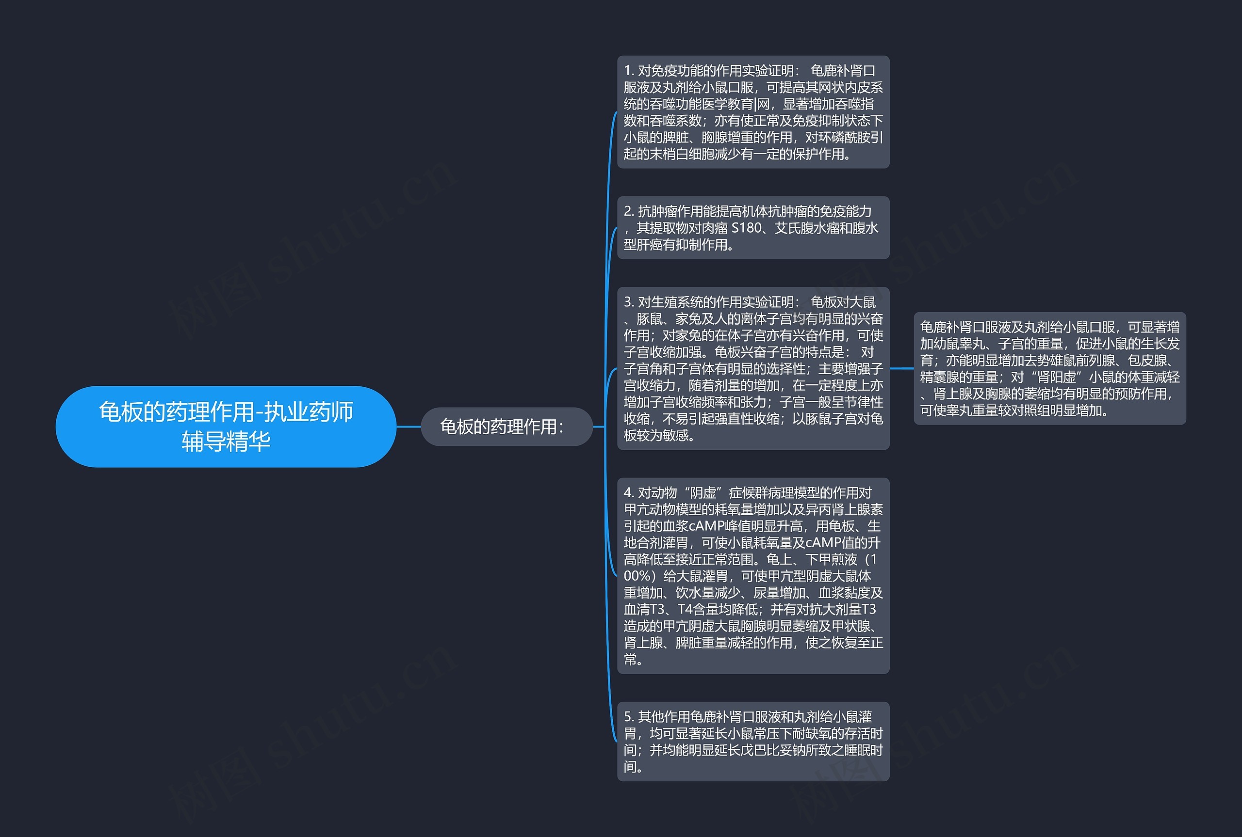 龟板的药理作用-执业药师辅导精华思维导图