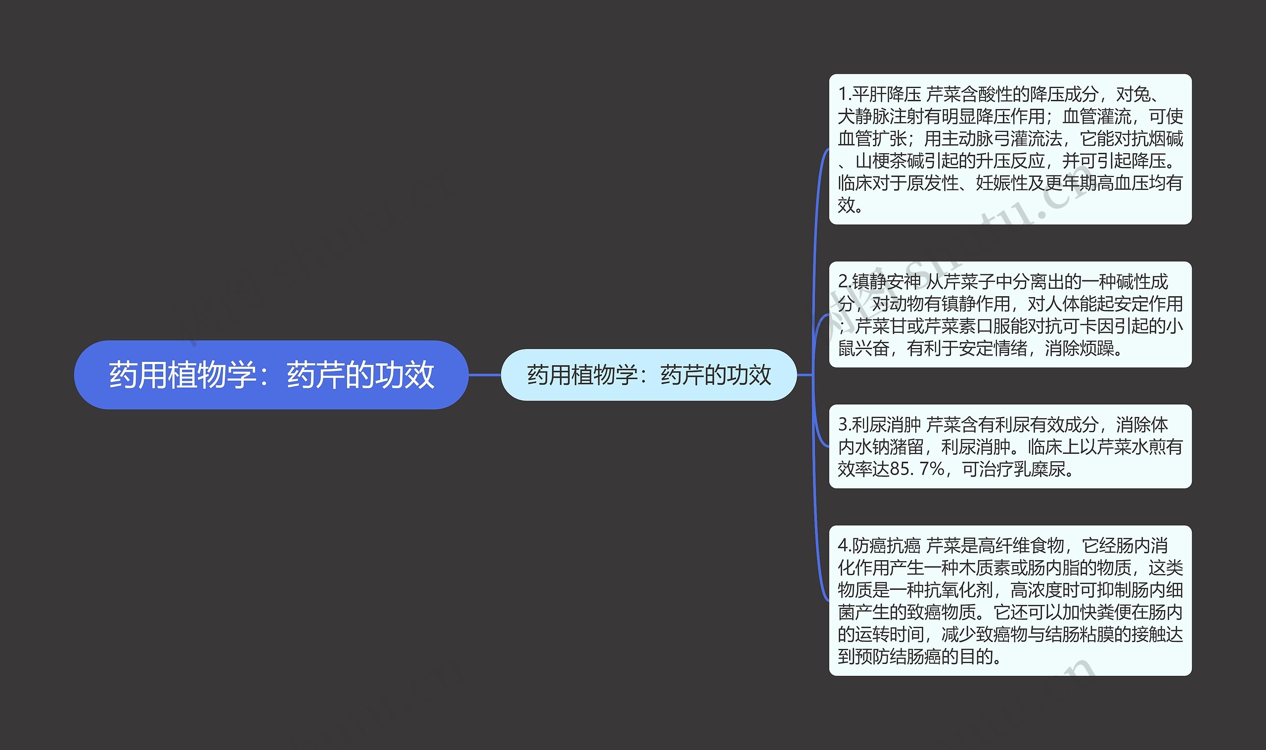 药用植物学:药芹的功效 药用植物学:药芹的功效