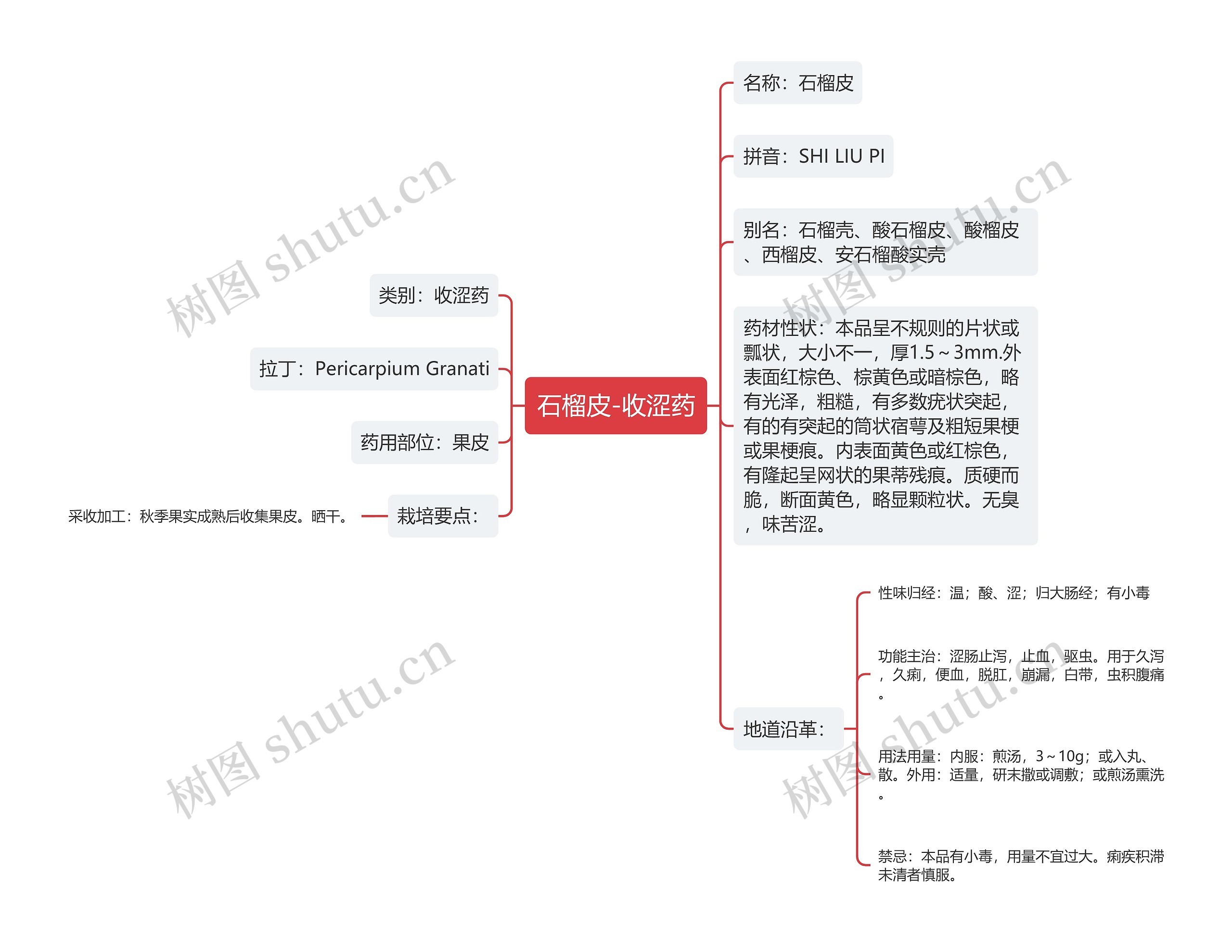 石榴皮-收涩药 石榴皮-收涩药