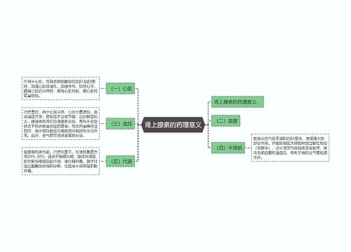 肾上腺素的药理意义