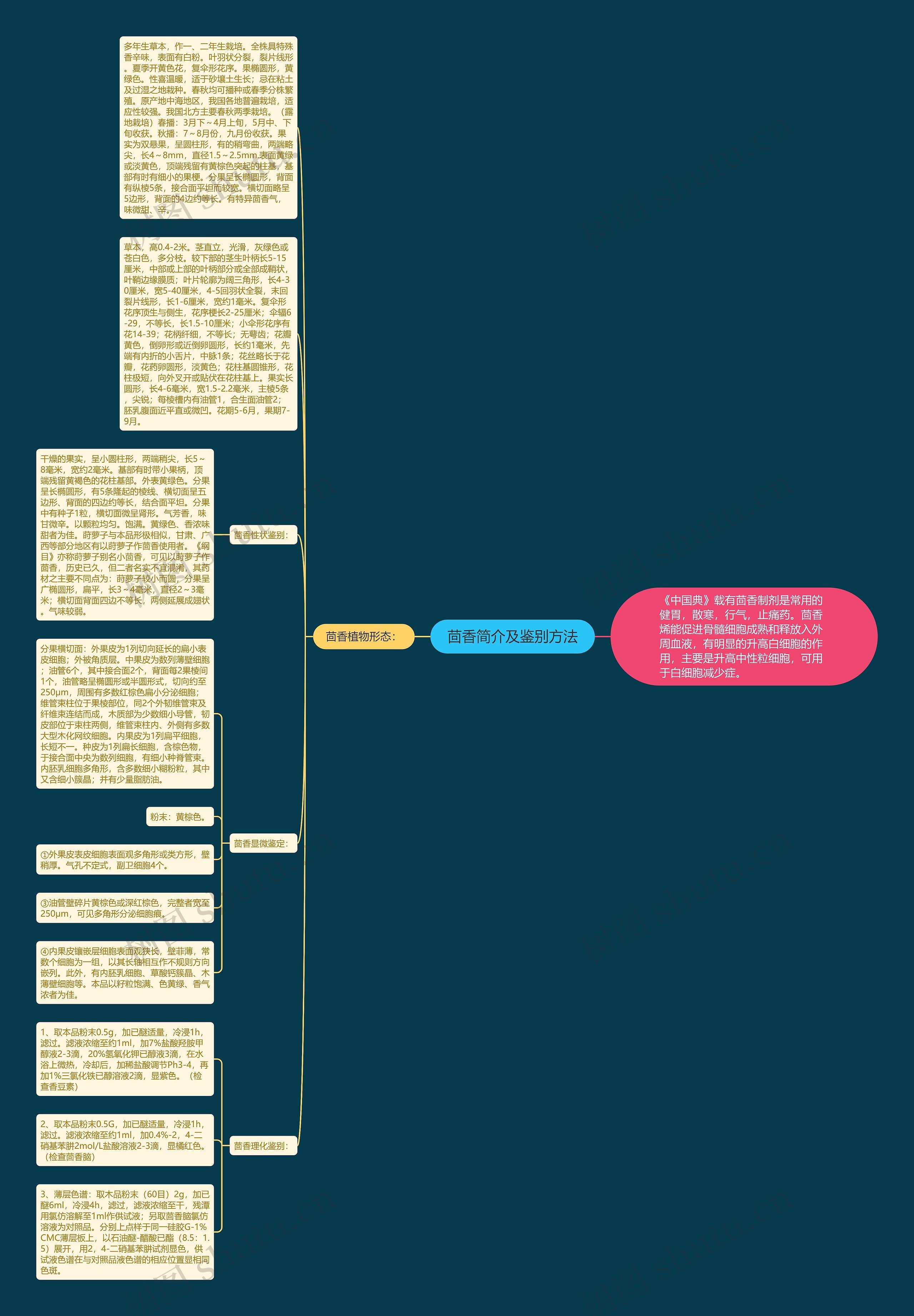 茴香简介及鉴别方法思维导图