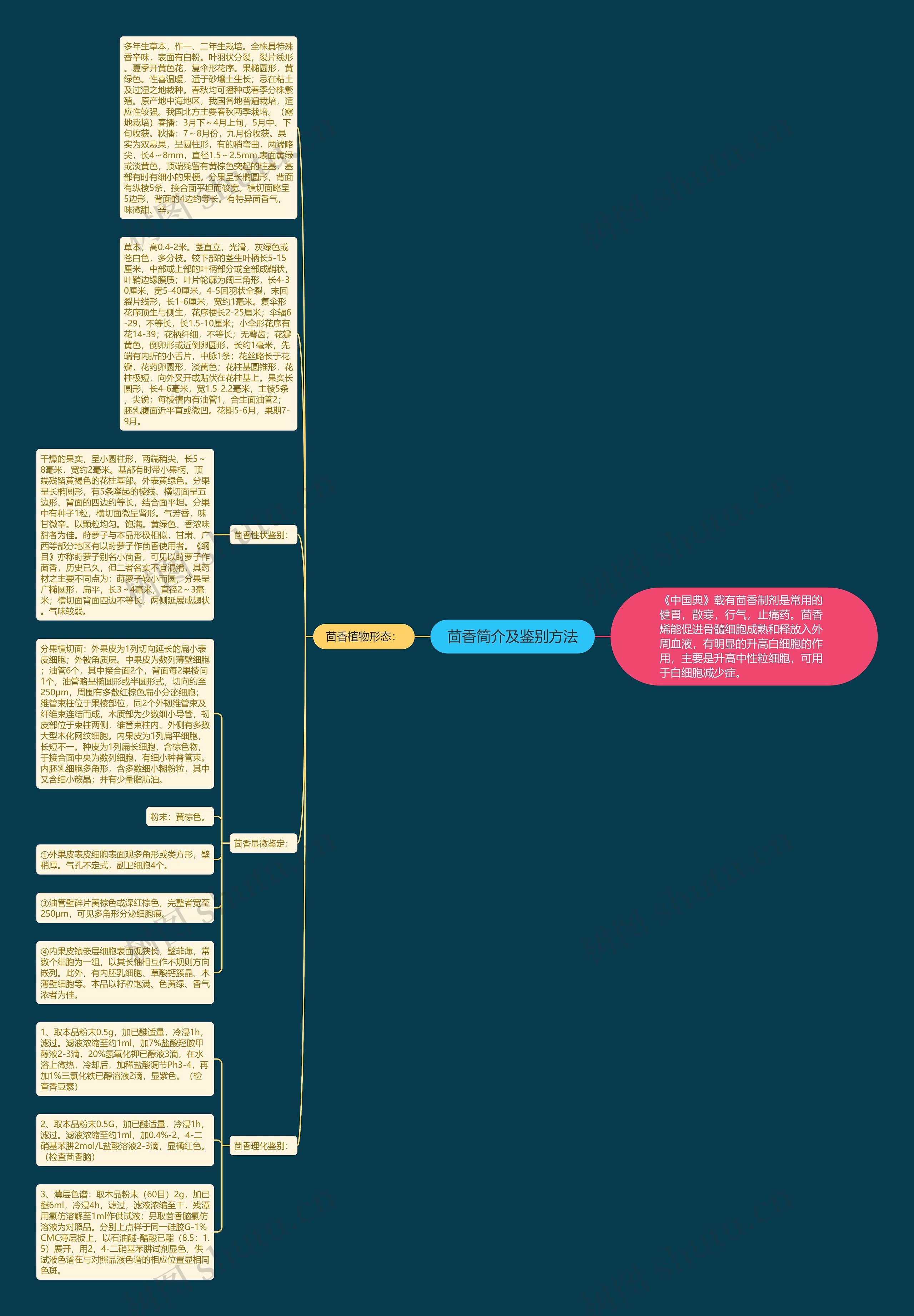 茴香简介及鉴别方法 茴香简介及鉴别方法