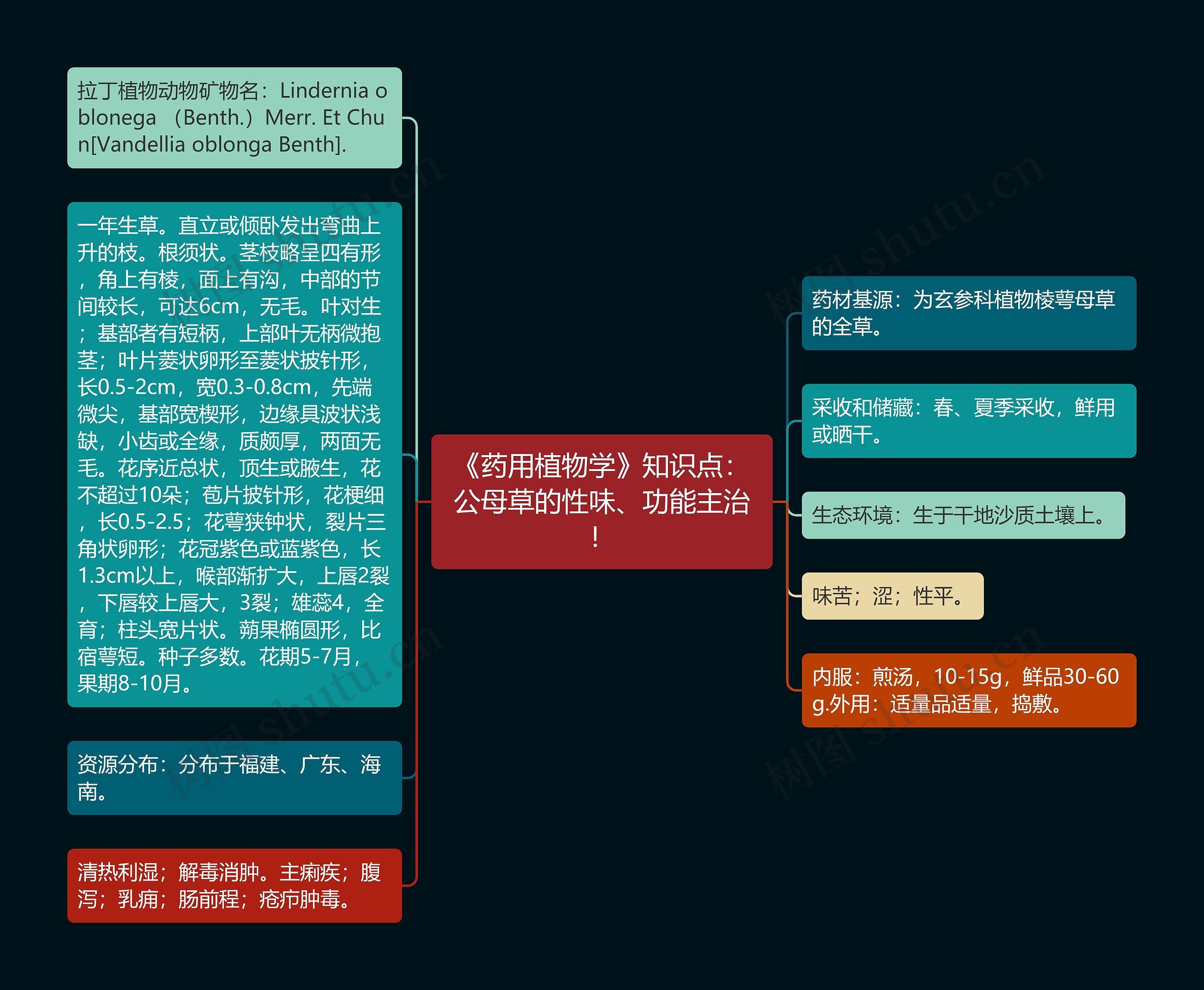 《药用植物学》知识点:公母草的性味、功能主治! 《药用植物学》知识点:公母草的性味、功能主治!