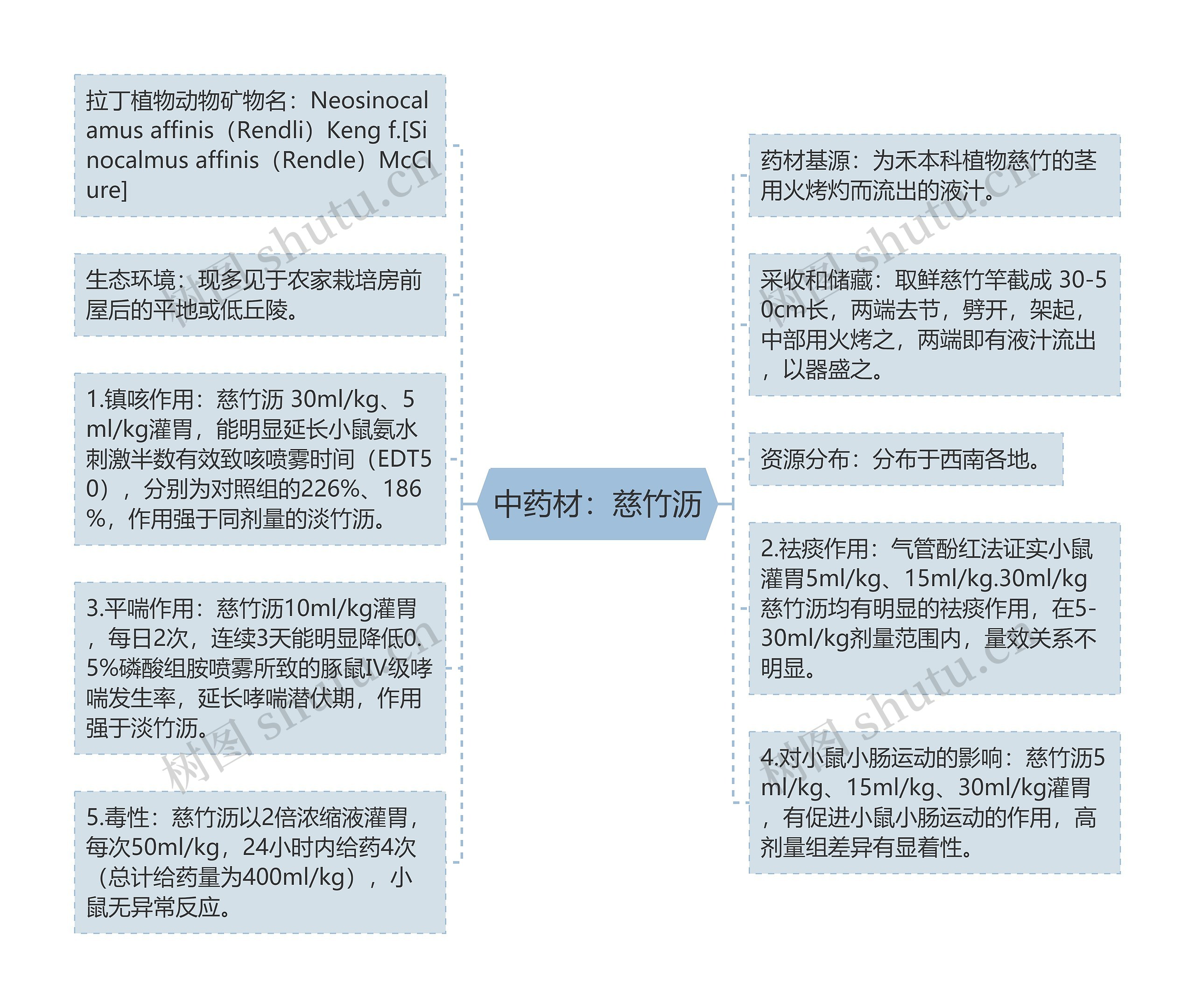 中药材：慈竹沥思维导图