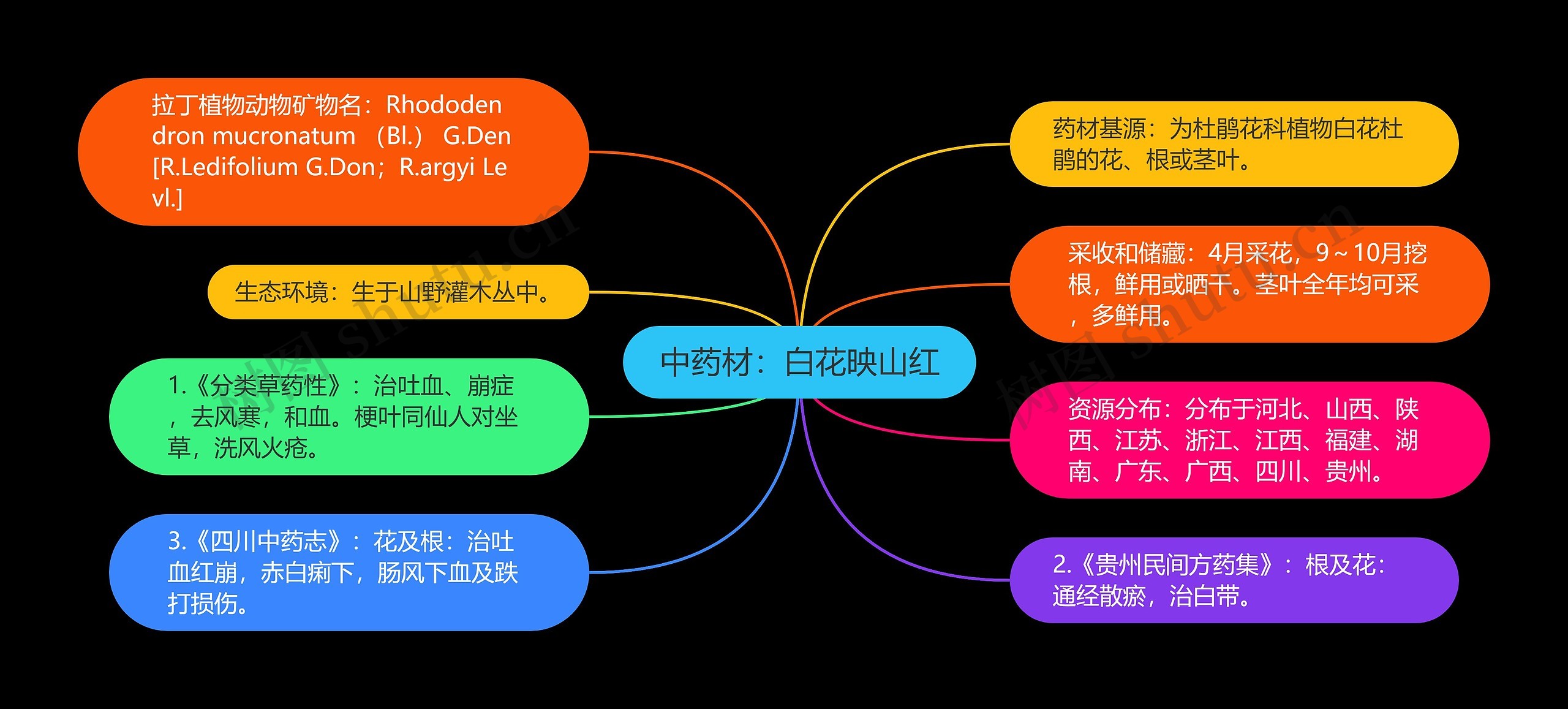 中药材：白花映山红思维导图