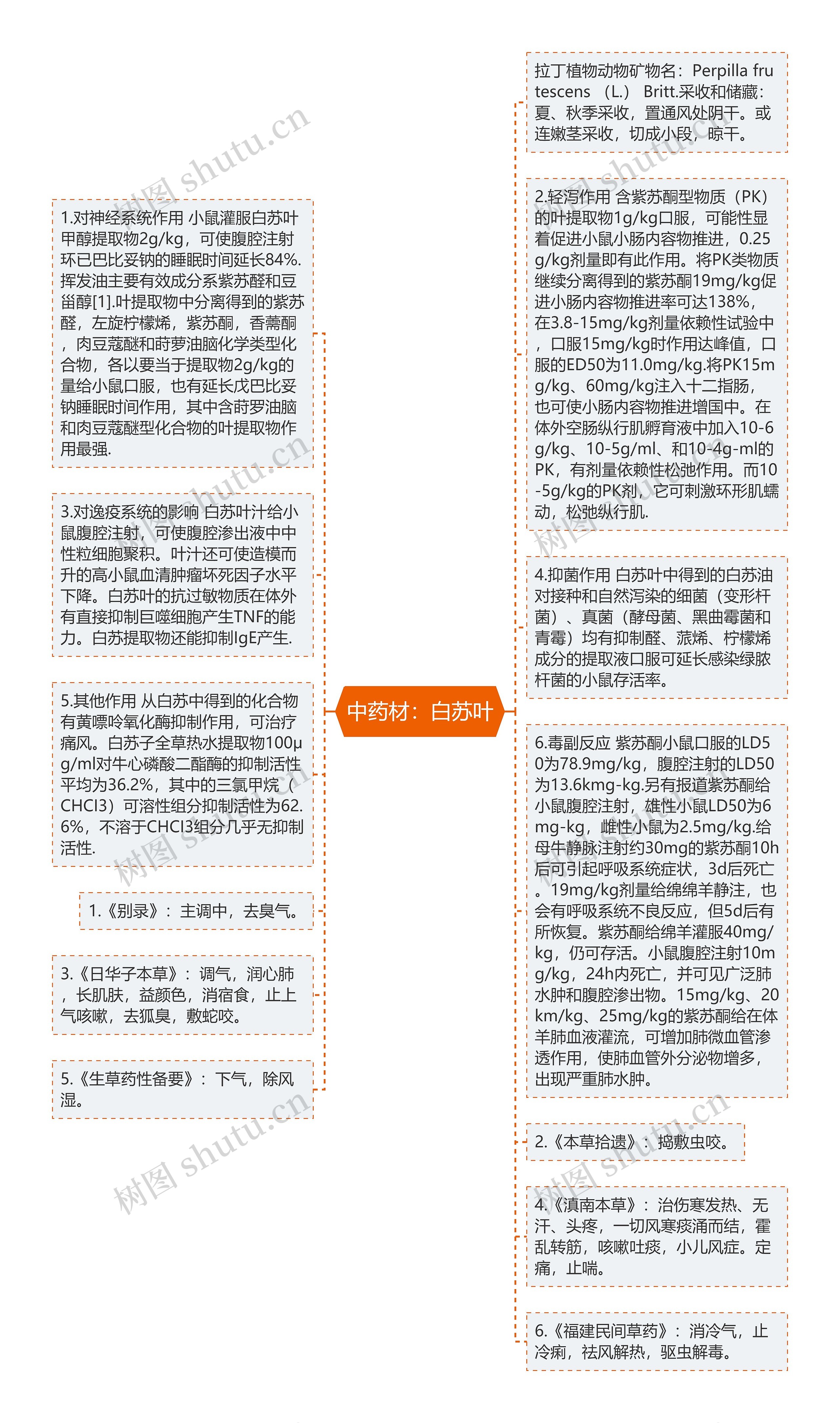 中药材：白苏叶思维导图