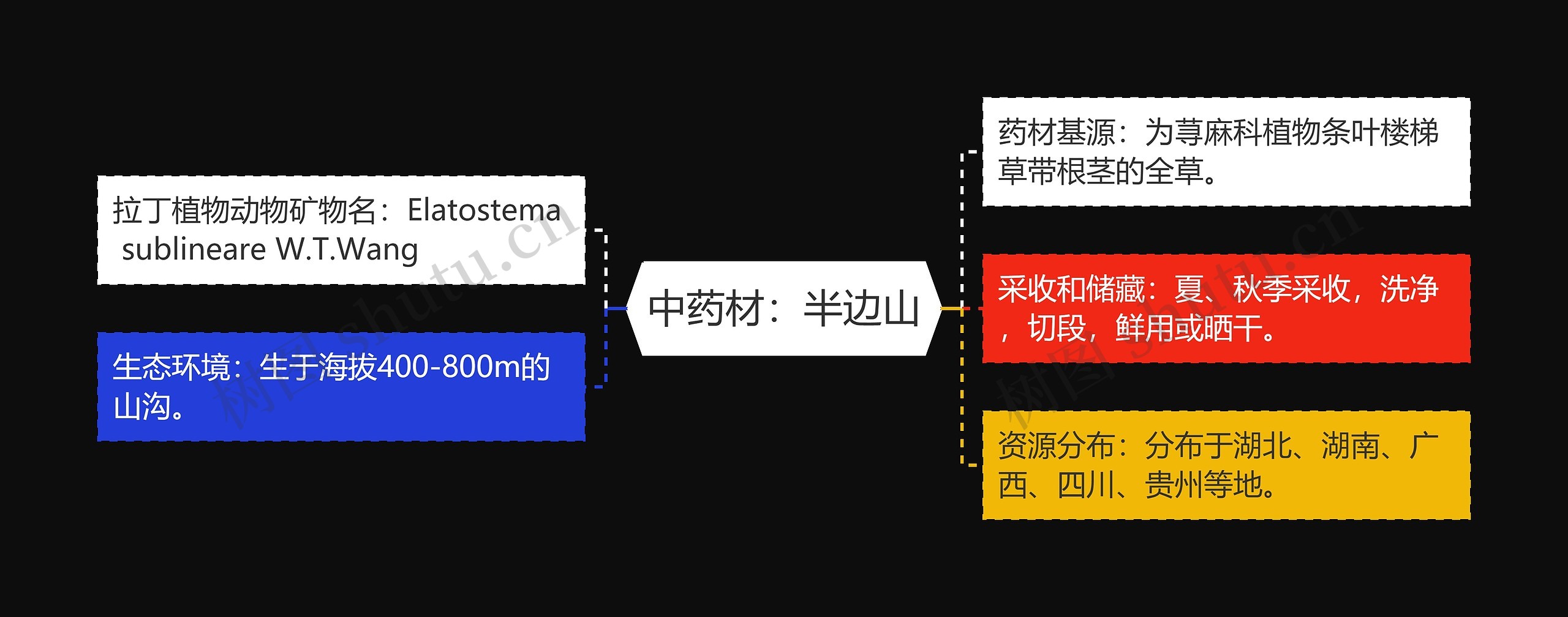 中药材：半边山思维导图