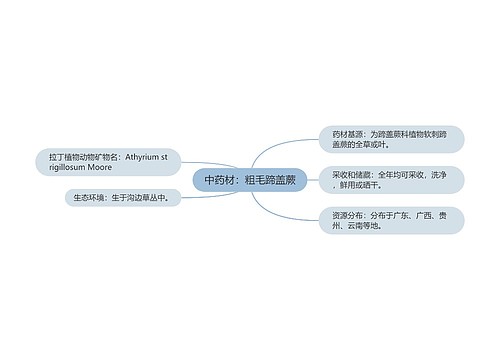 中药材：粗毛蹄盖蕨