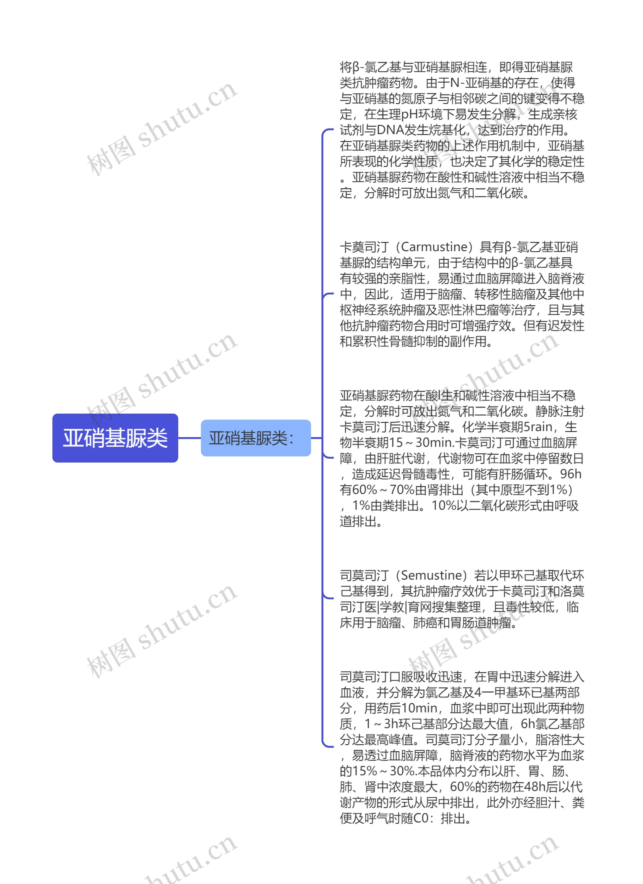 亚硝基脲类思维导图