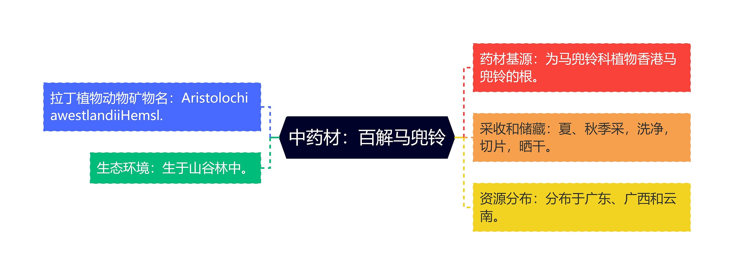 中药材：百解马兜铃思维导图