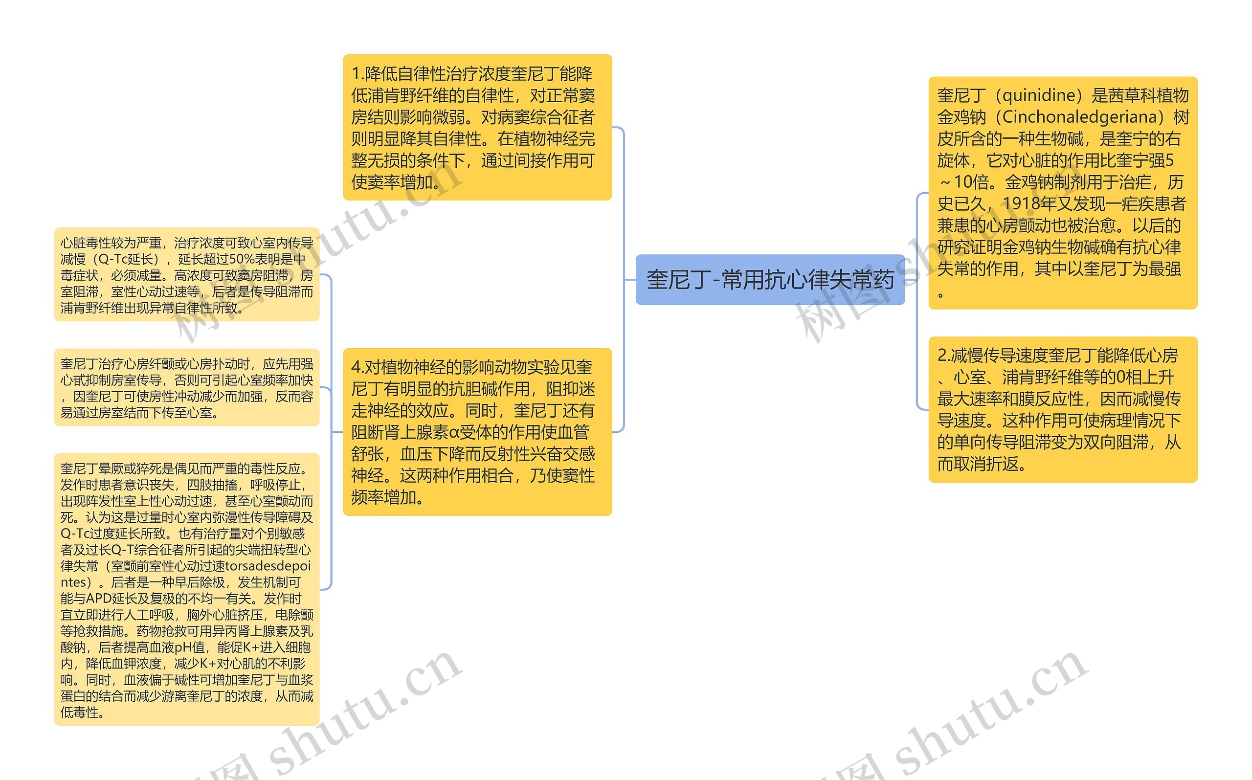 奎尼丁-常用抗心律失常药思维导图