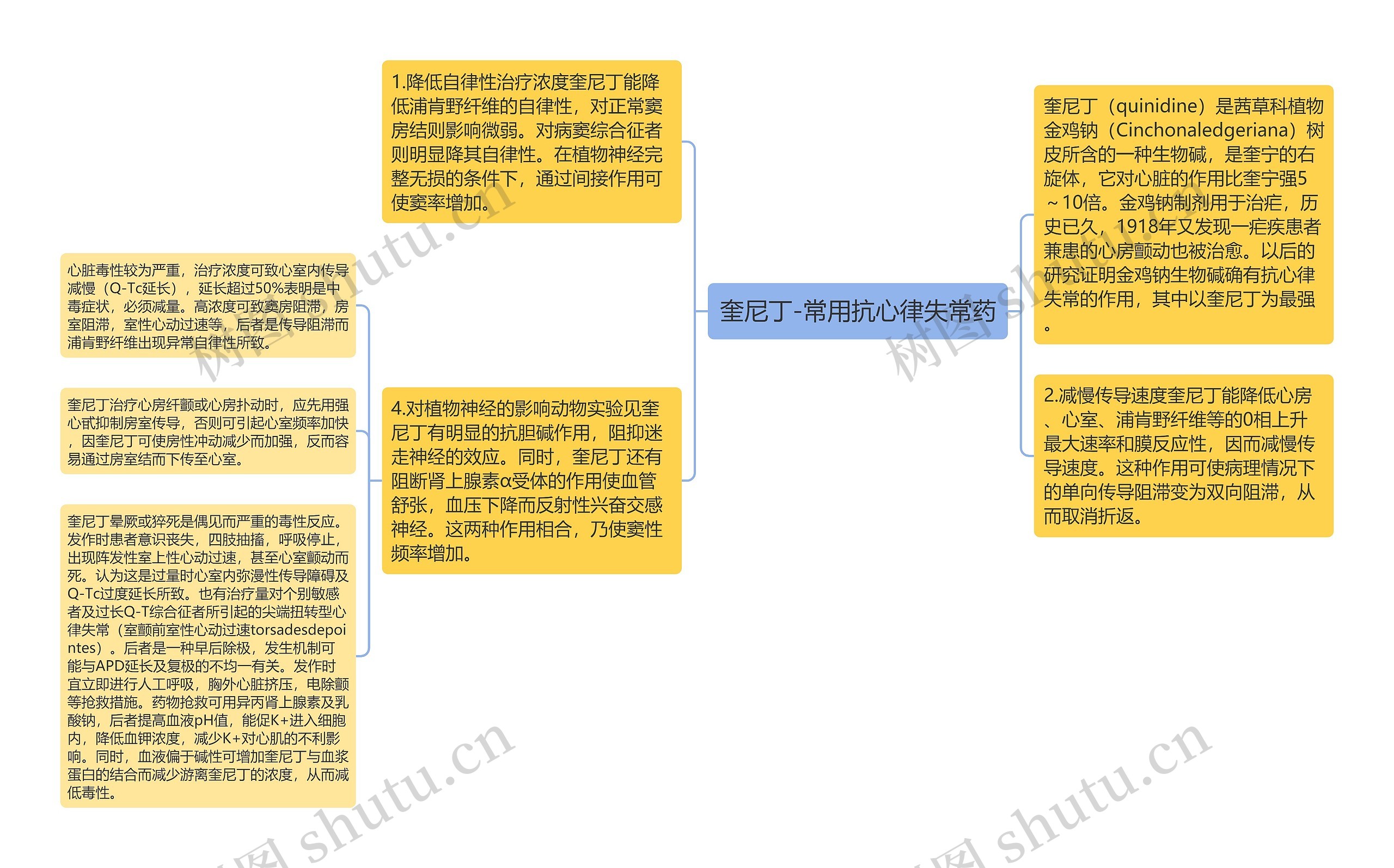 奎尼丁-常用抗心律失常药 奎尼丁-常用抗心律失常药