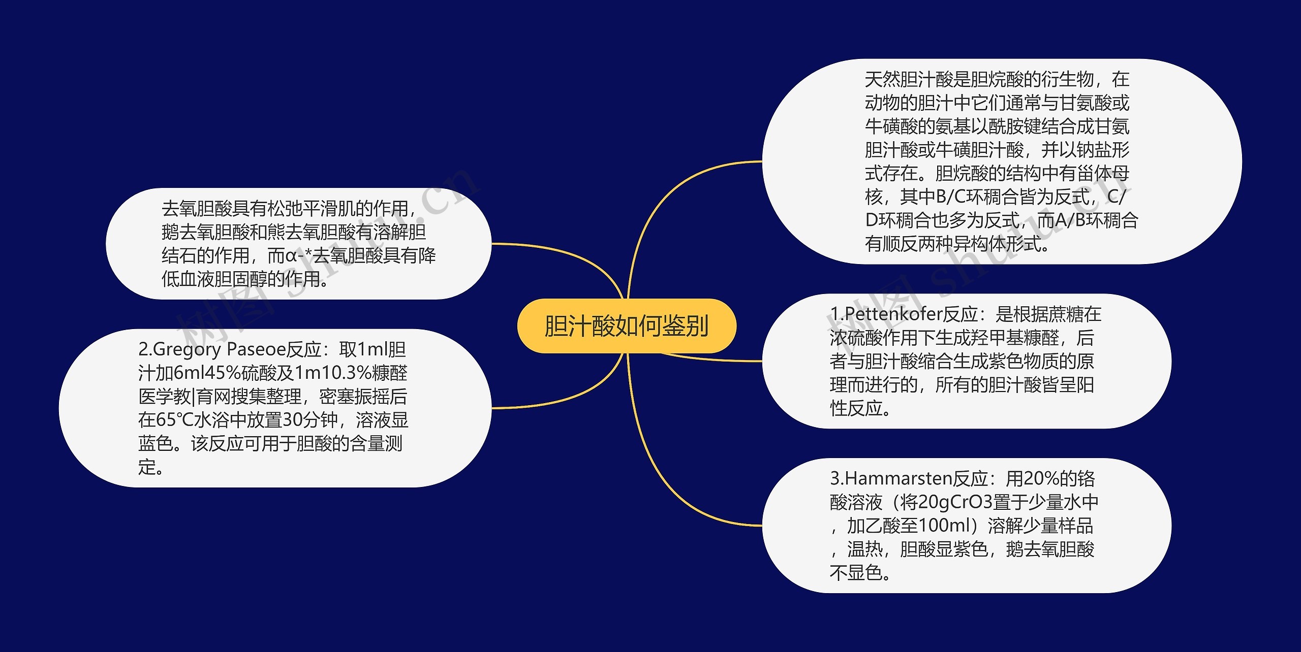 胆汁酸如何鉴别思维导图