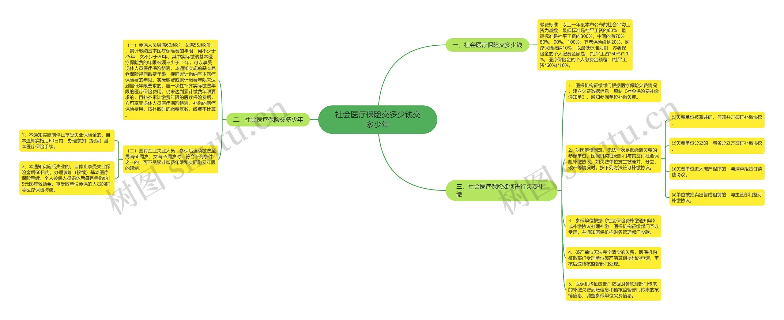 社会医疗保险交多少钱交多少年思维导图