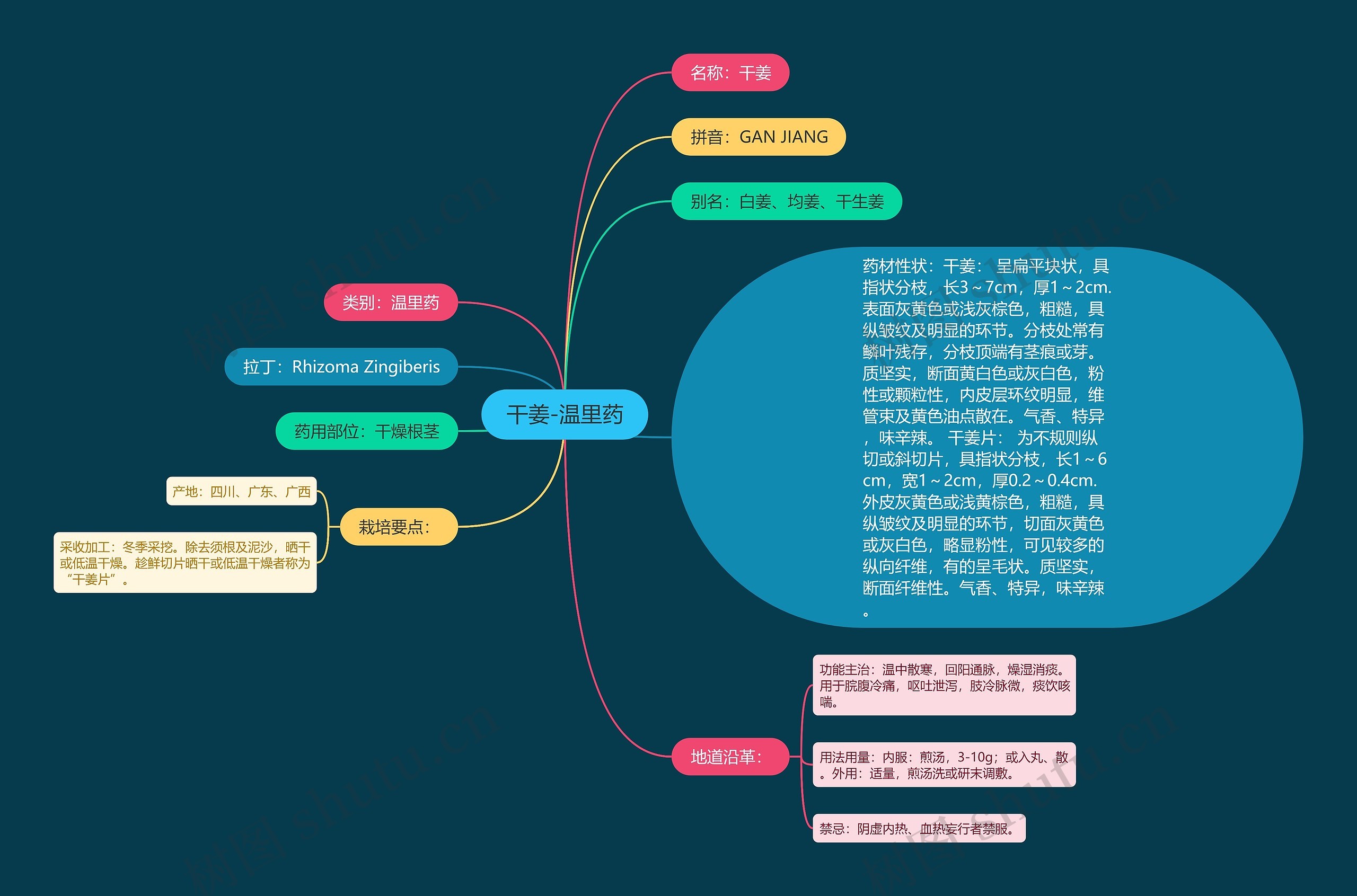 干姜-温里药思维导图