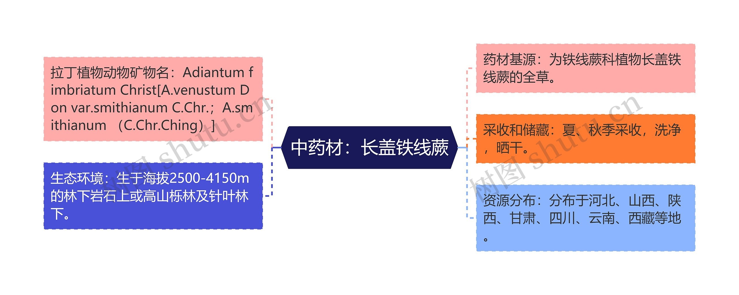 中药材：长盖铁线蕨