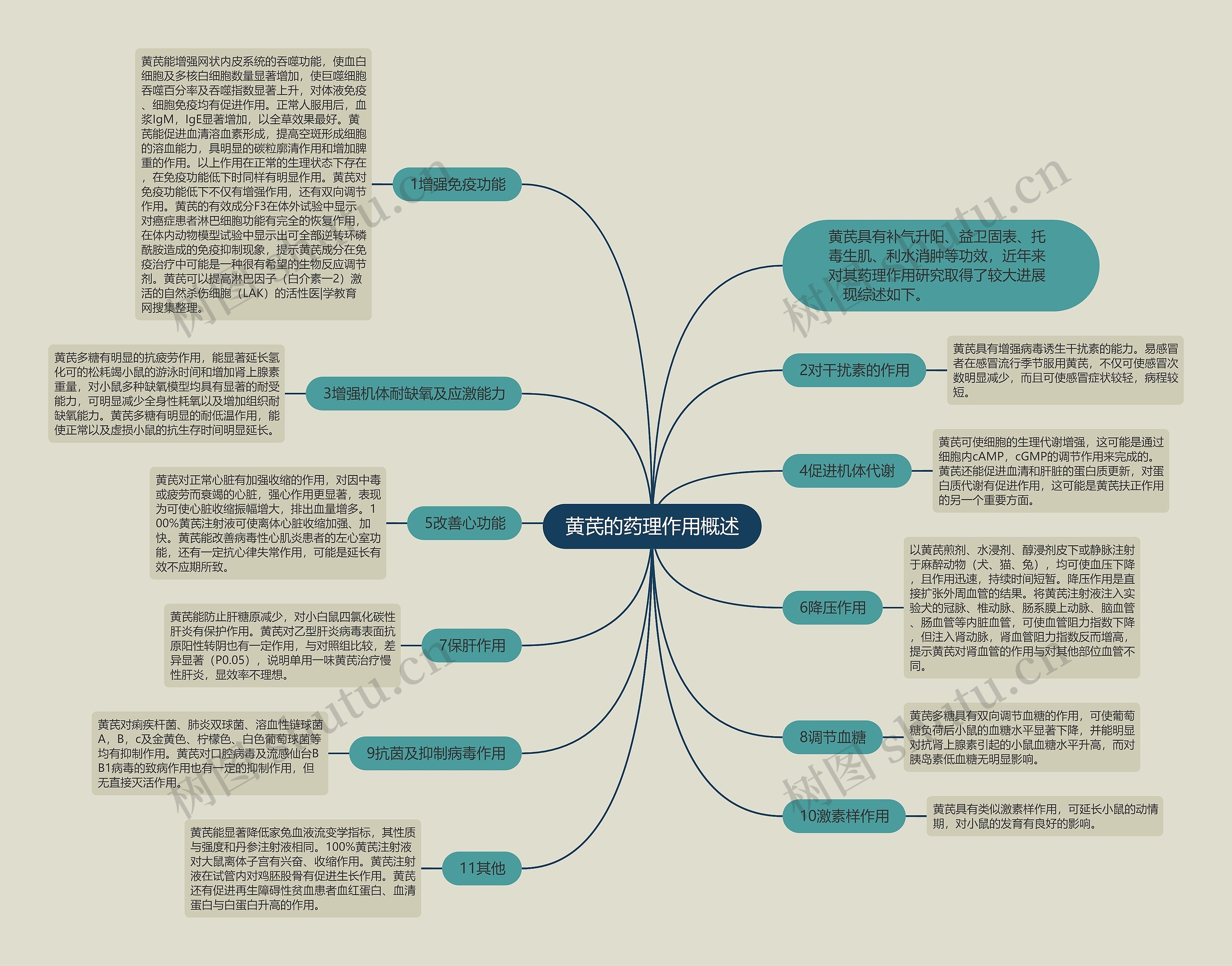 黄芪的药理作用概述思维导图