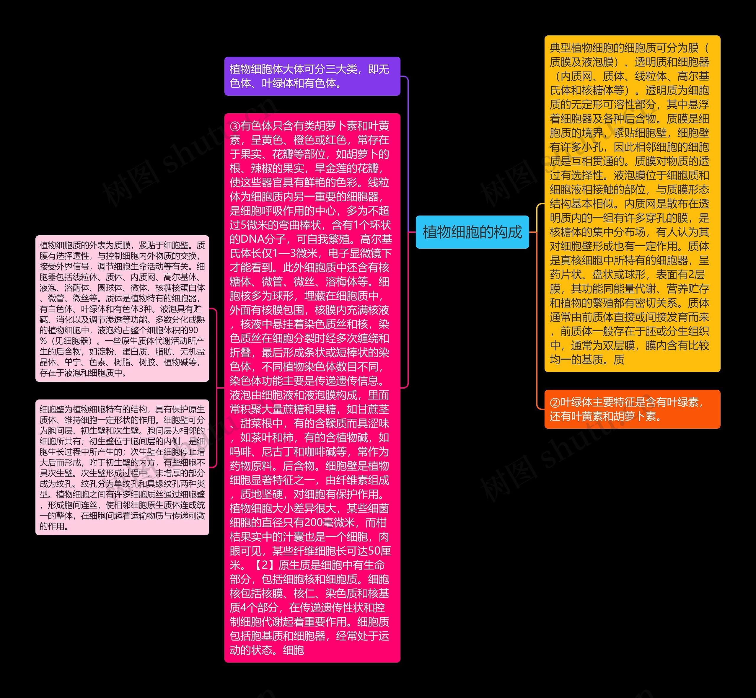 植物细胞的构成思维导图