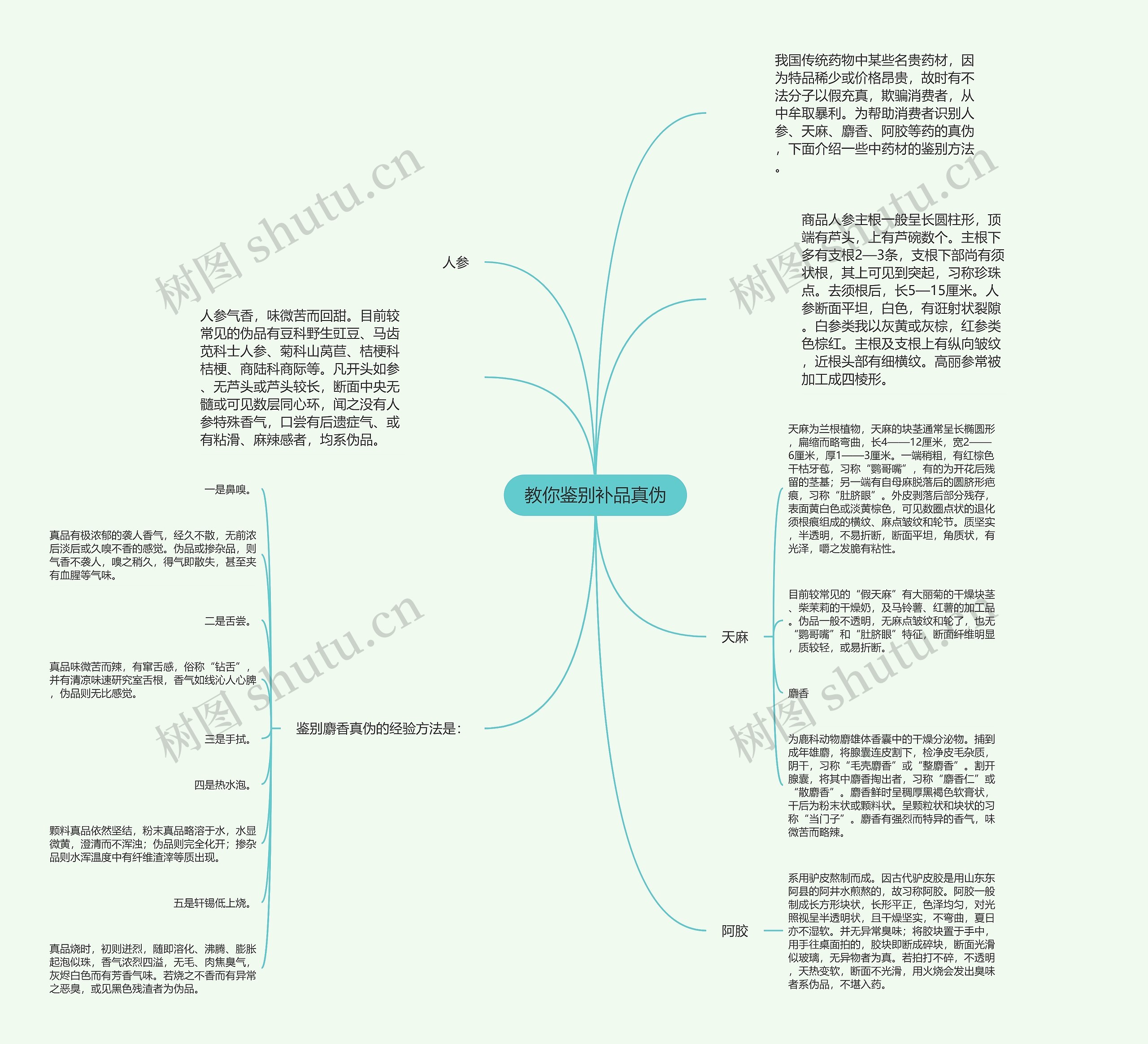 教你鉴别补品真伪思维导图