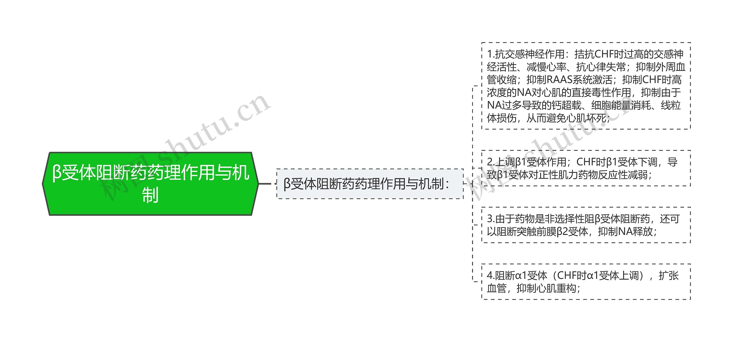 β受体阻断药药理作用与机制