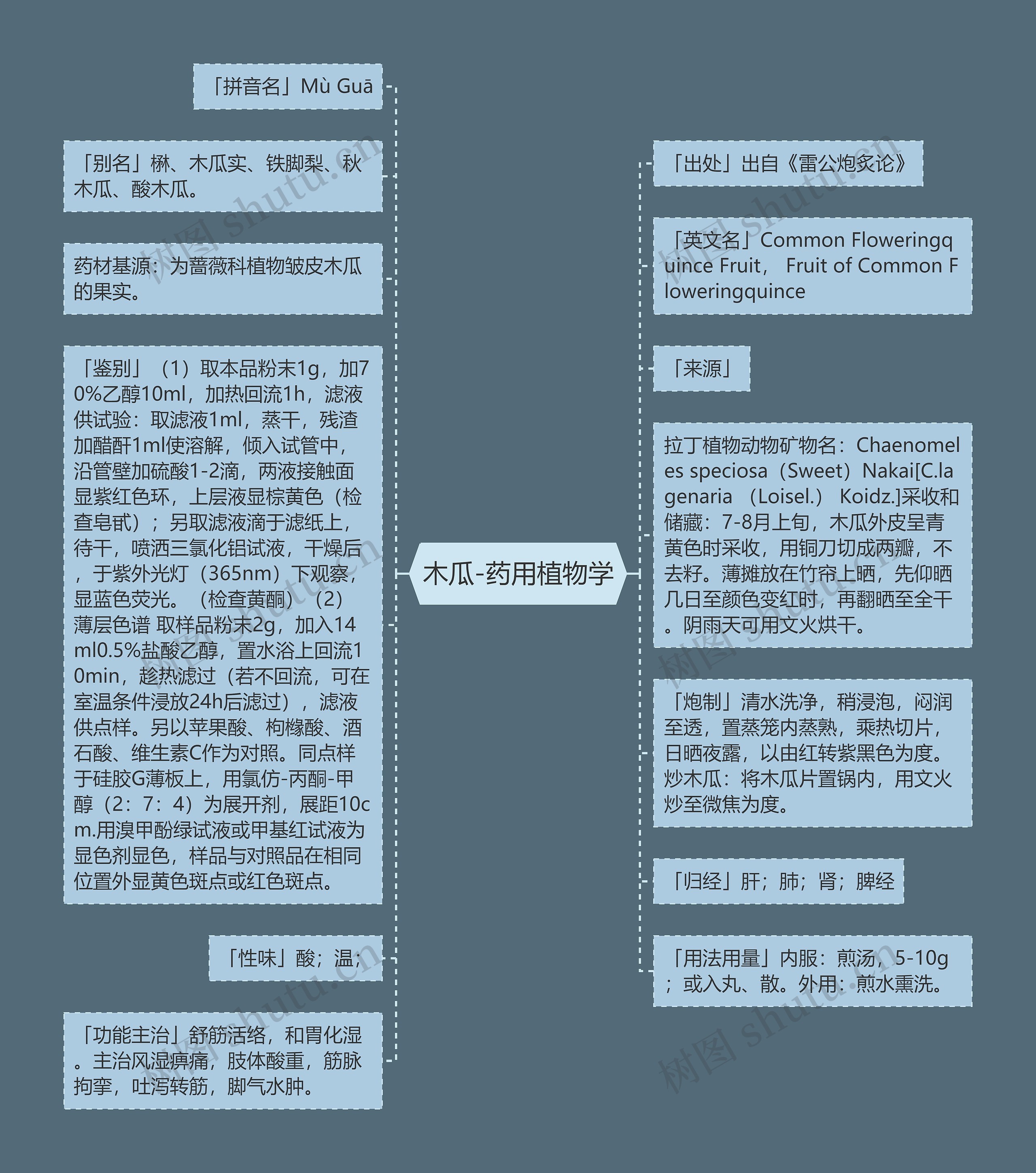 木瓜-药用植物学思维导图高清图 木瓜-药用植物学思维导图