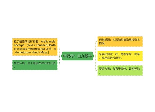 中药材：白九股牛