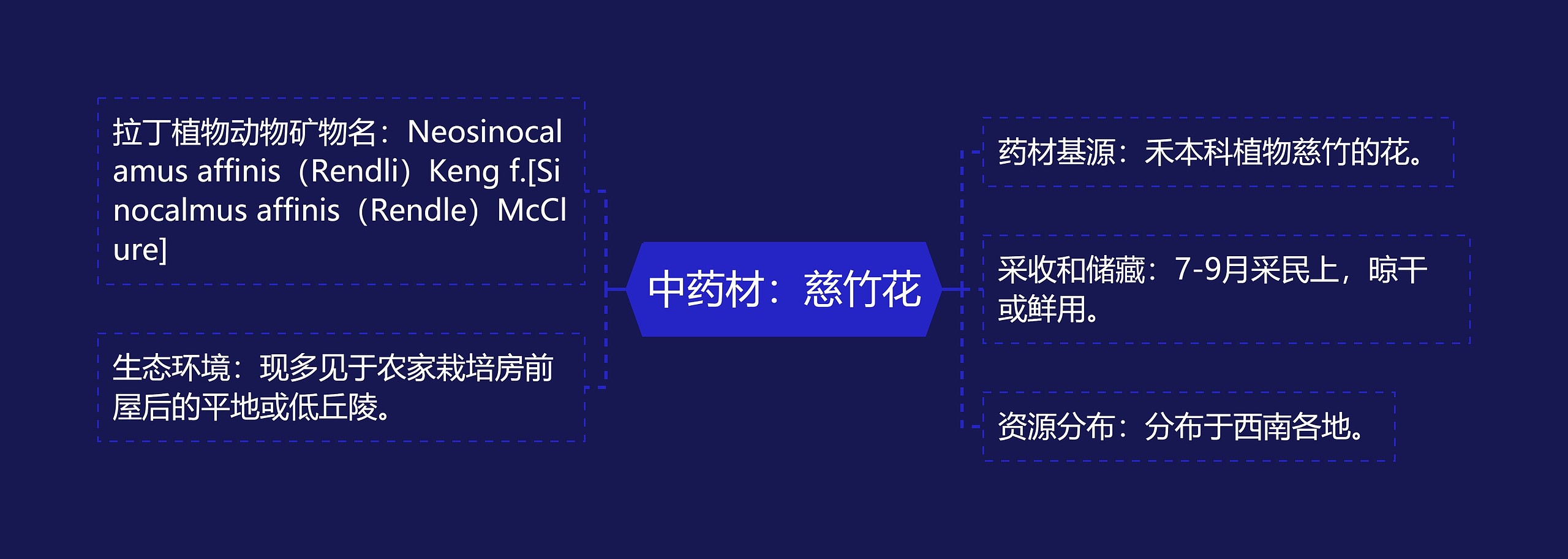 中药材：慈竹花思维导图