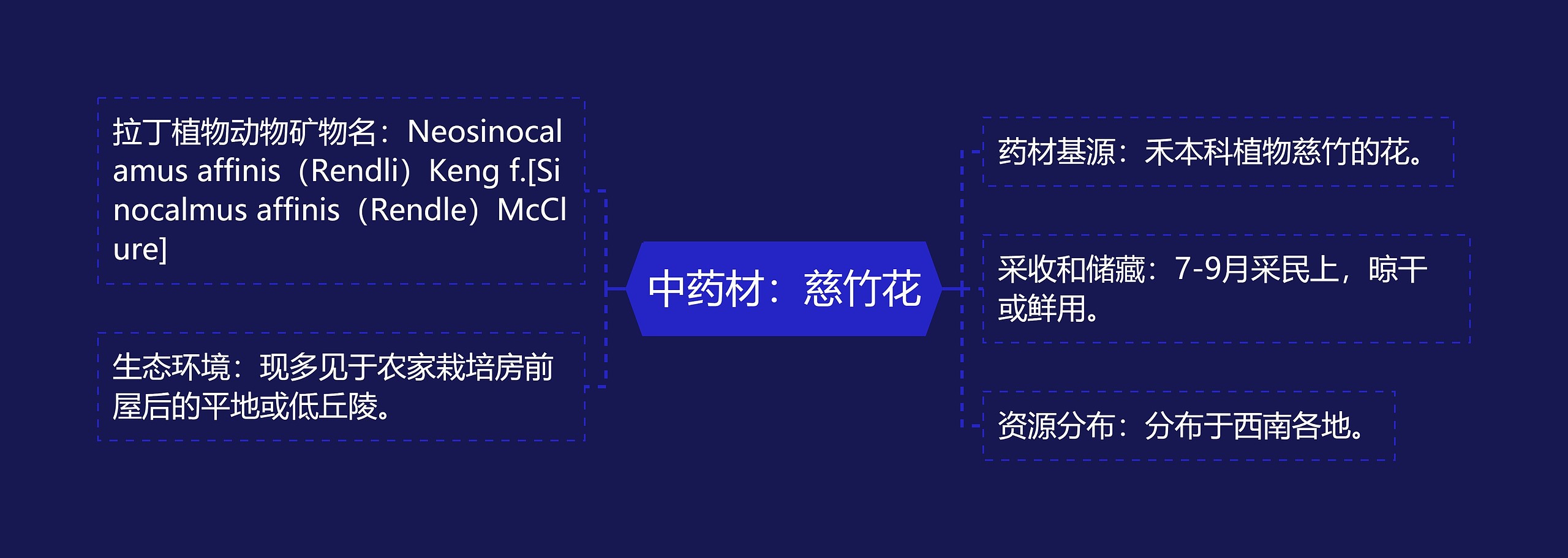 中药材:慈竹花 中药材:慈竹花