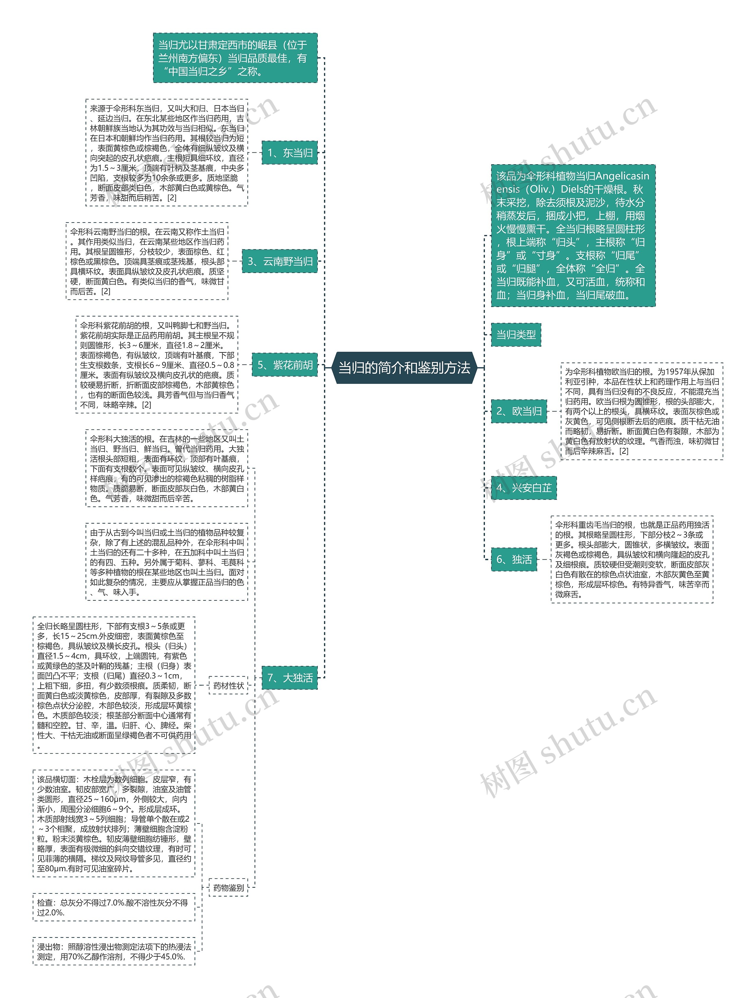当归的简介和鉴别方法思维导图