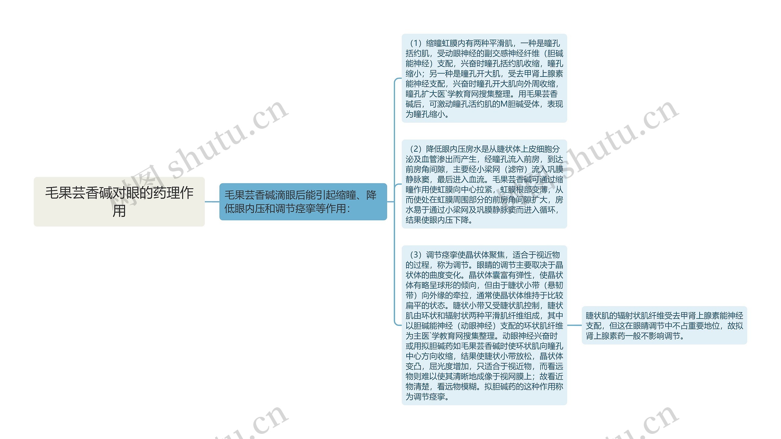 毛果芸香碱对眼的药理作用思维导图