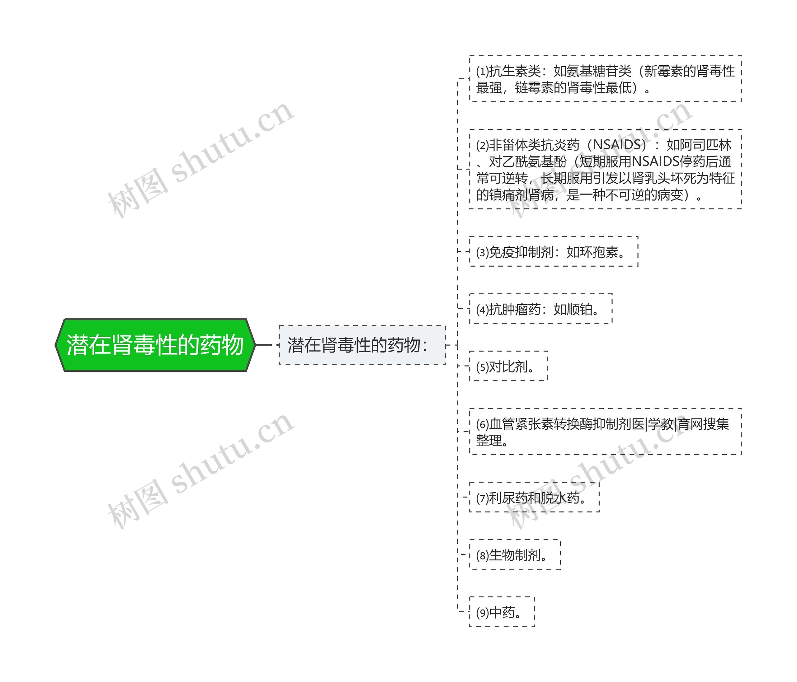 潜在肾毒性的药物 潜在肾毒性的药物