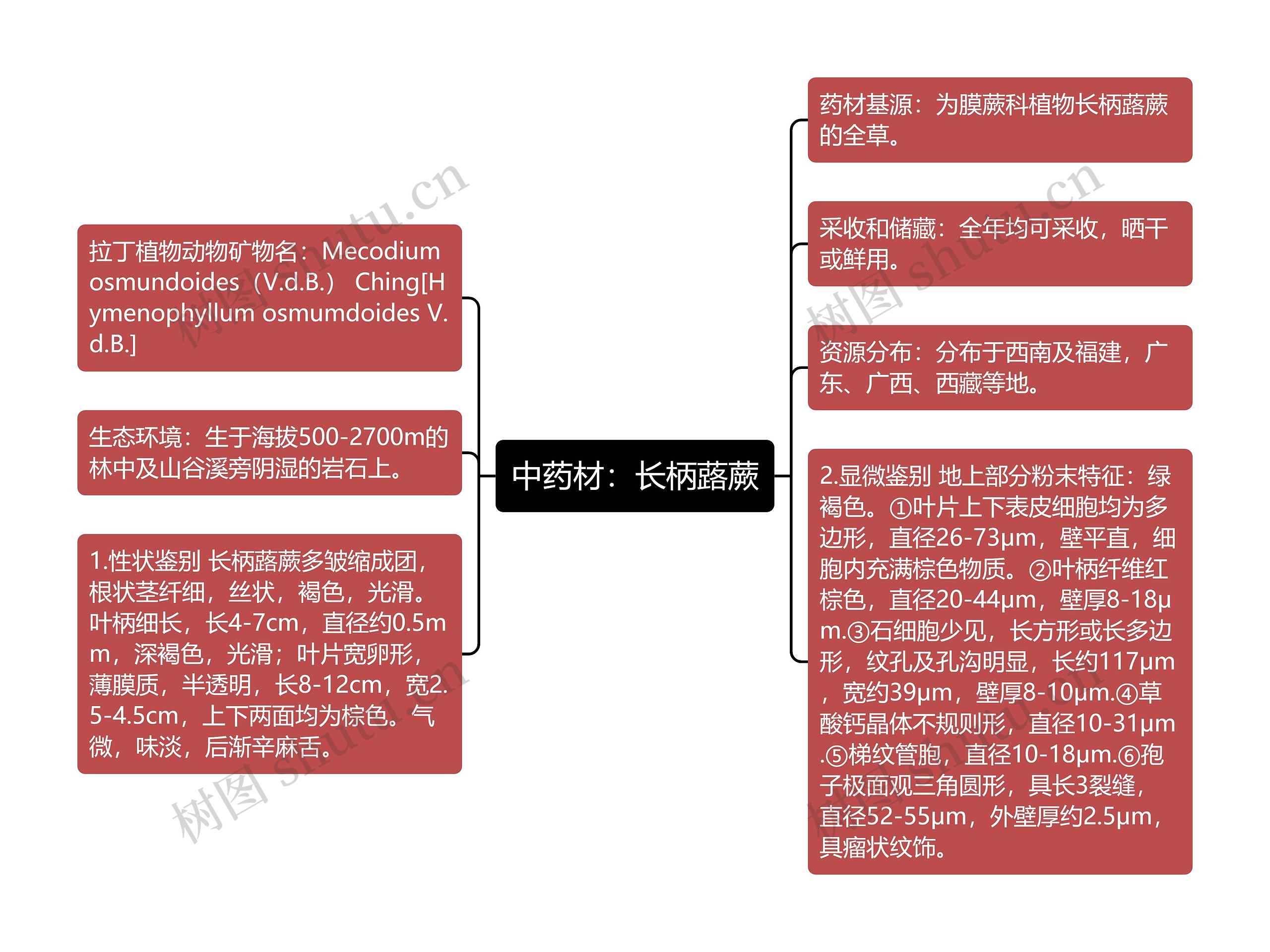 中药材：长柄蕗蕨思维导图