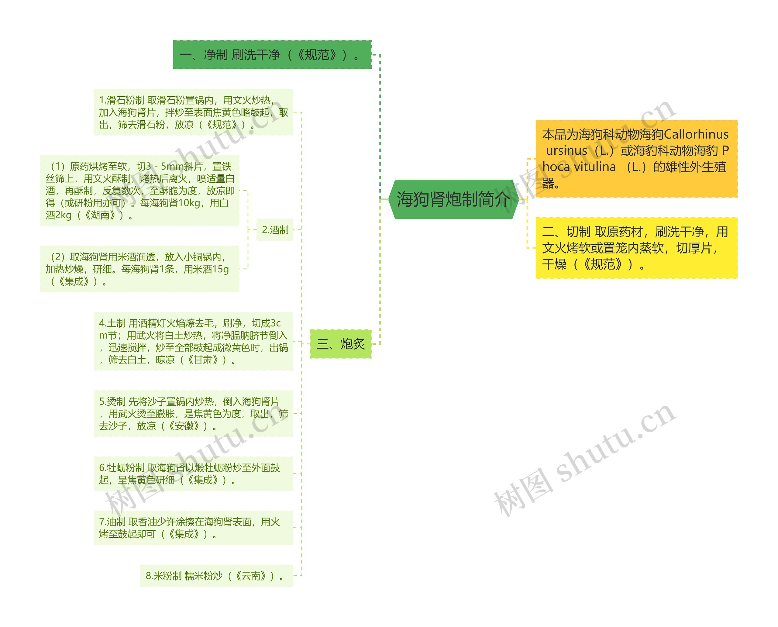 海狗肾炮制简介思维导图