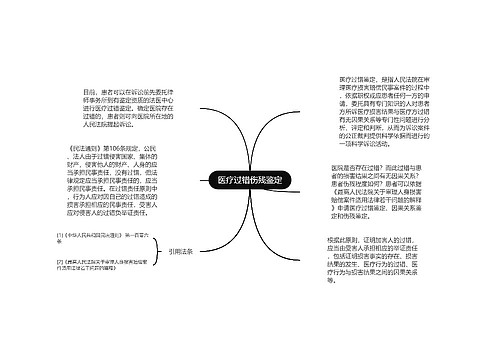 医疗过错伤残鉴定