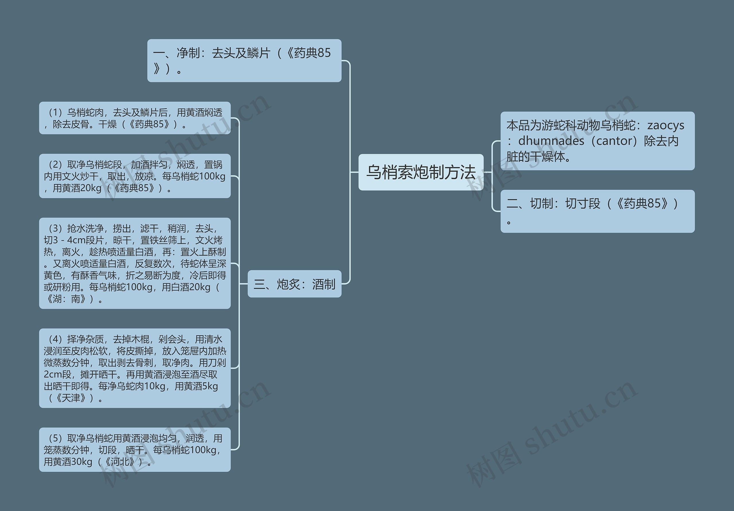 乌梢索炮制方法思维导图