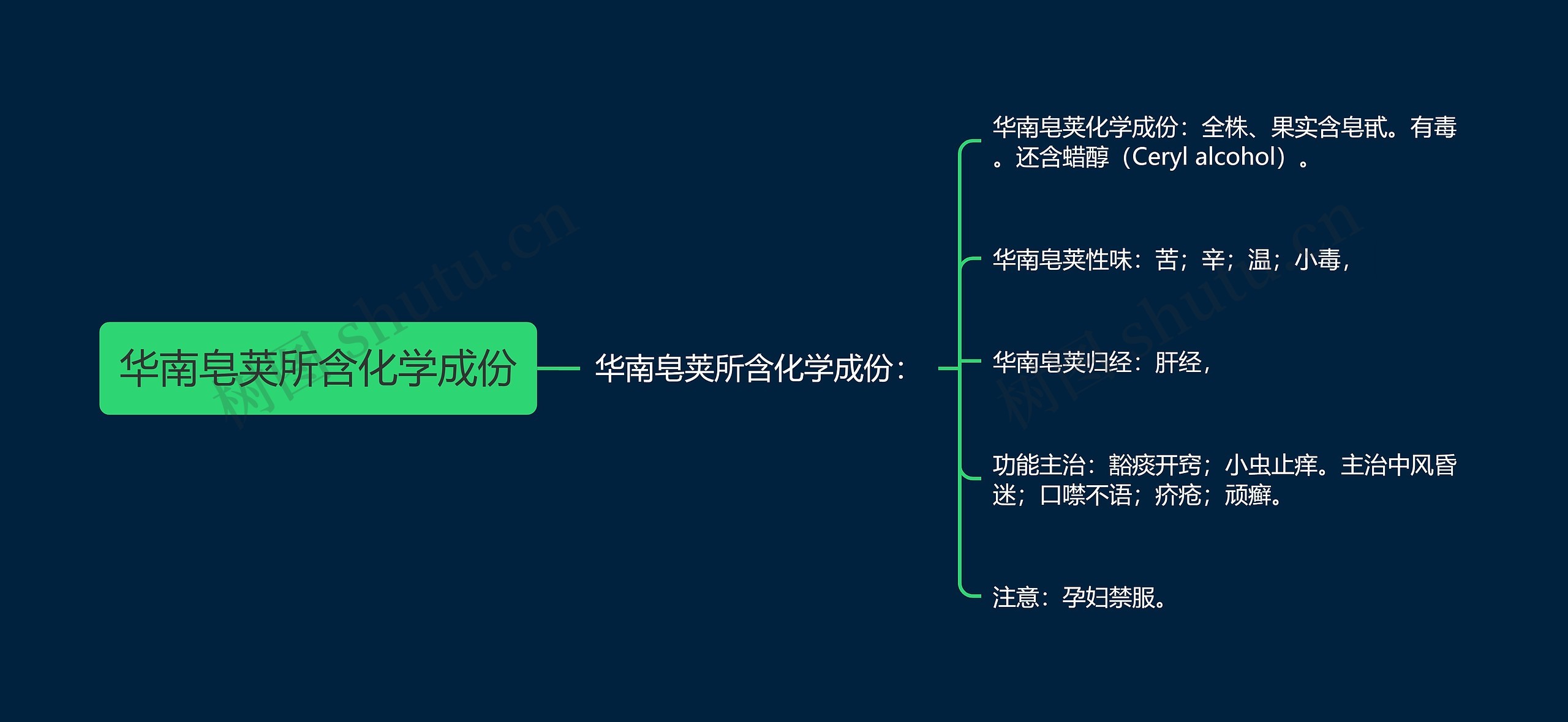 华南皂荚所含化学成份思维导图