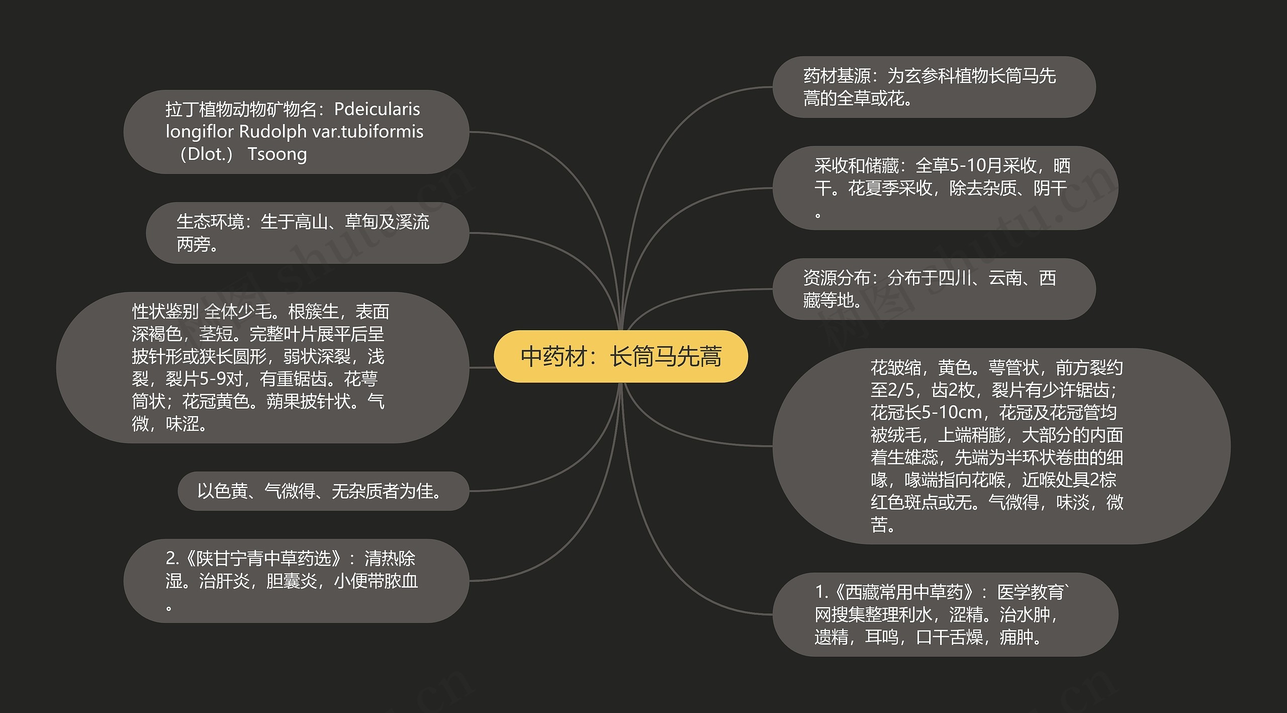 中药材：长筒马先蒿思维导图