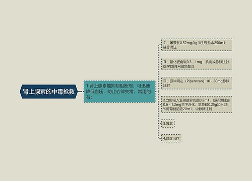 肾上腺素的中毒抢救