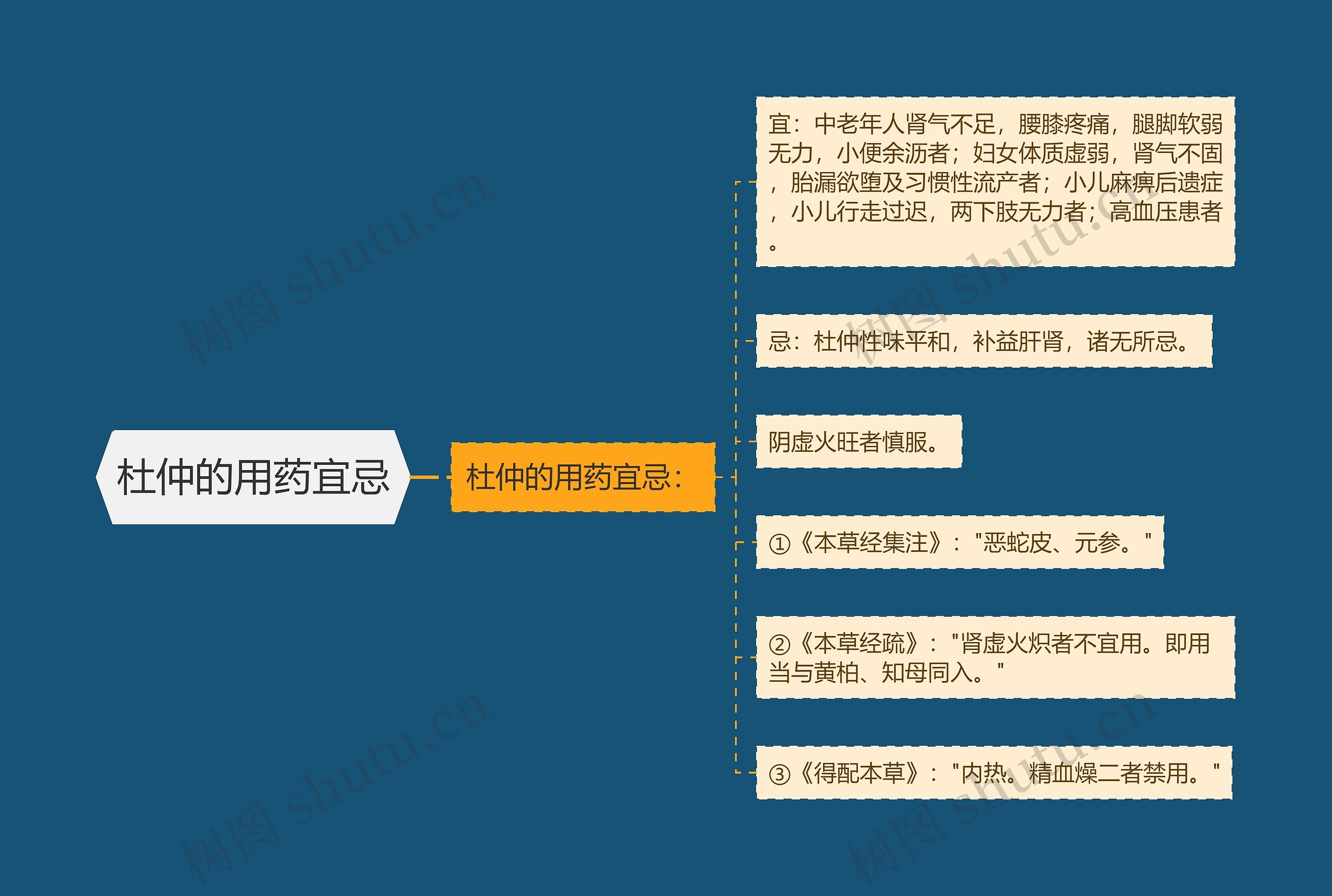 杜仲的用药宜忌 杜仲的用药宜忌