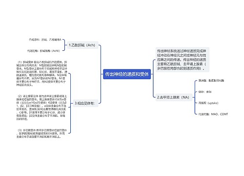 传出神经的递质和受体