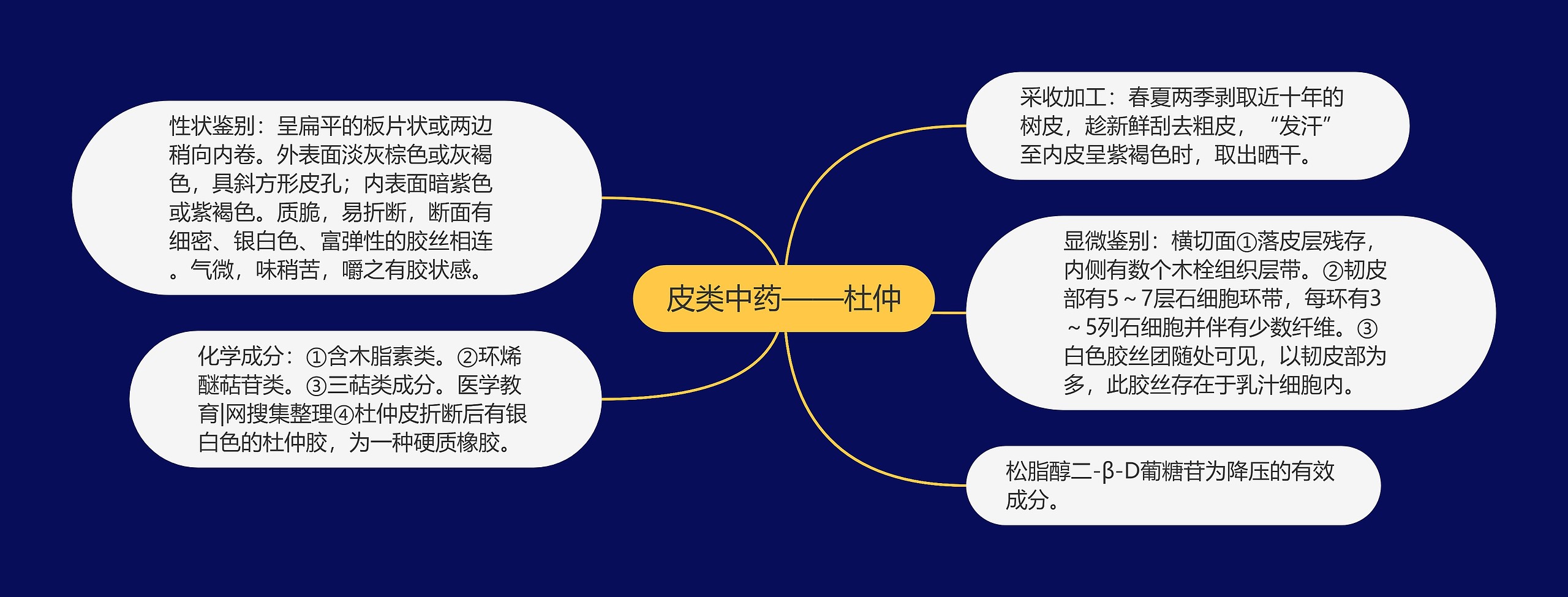 皮类中药——杜仲思维导图